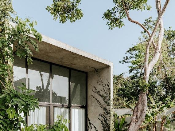 WhatsApp Image 2025-11-22 at 11.46.13 a.m. (5).jpeg