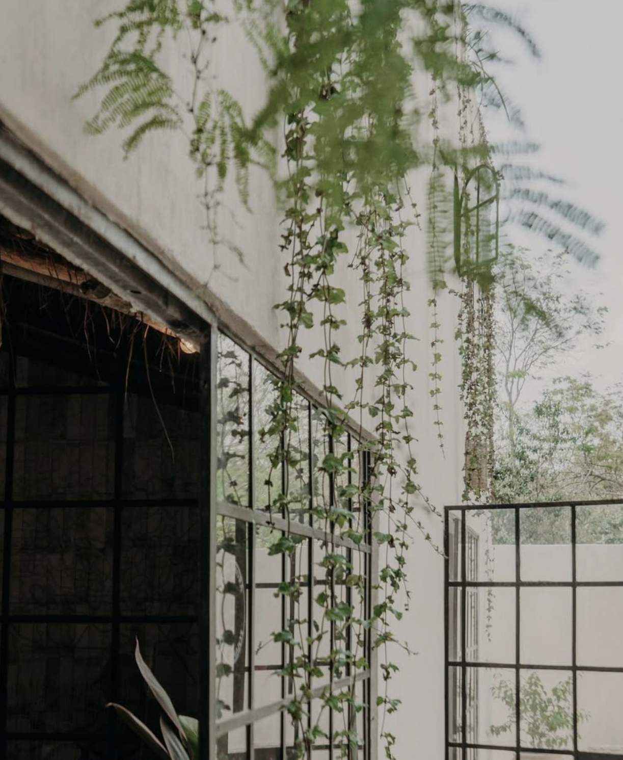 Screenshot 2025-11-12 at 11.17.02 p.m..png