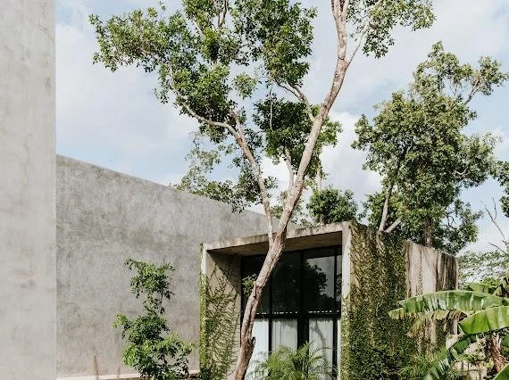 WhatsApp Image 2025-11-22 at 11.46.13 a.m. (6).jpeg