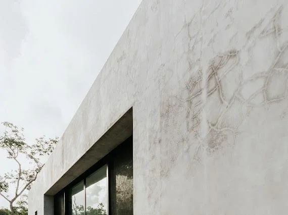 WhatsApp Image 2025-11-22 at 11.46.15 a.m. (10).jpeg