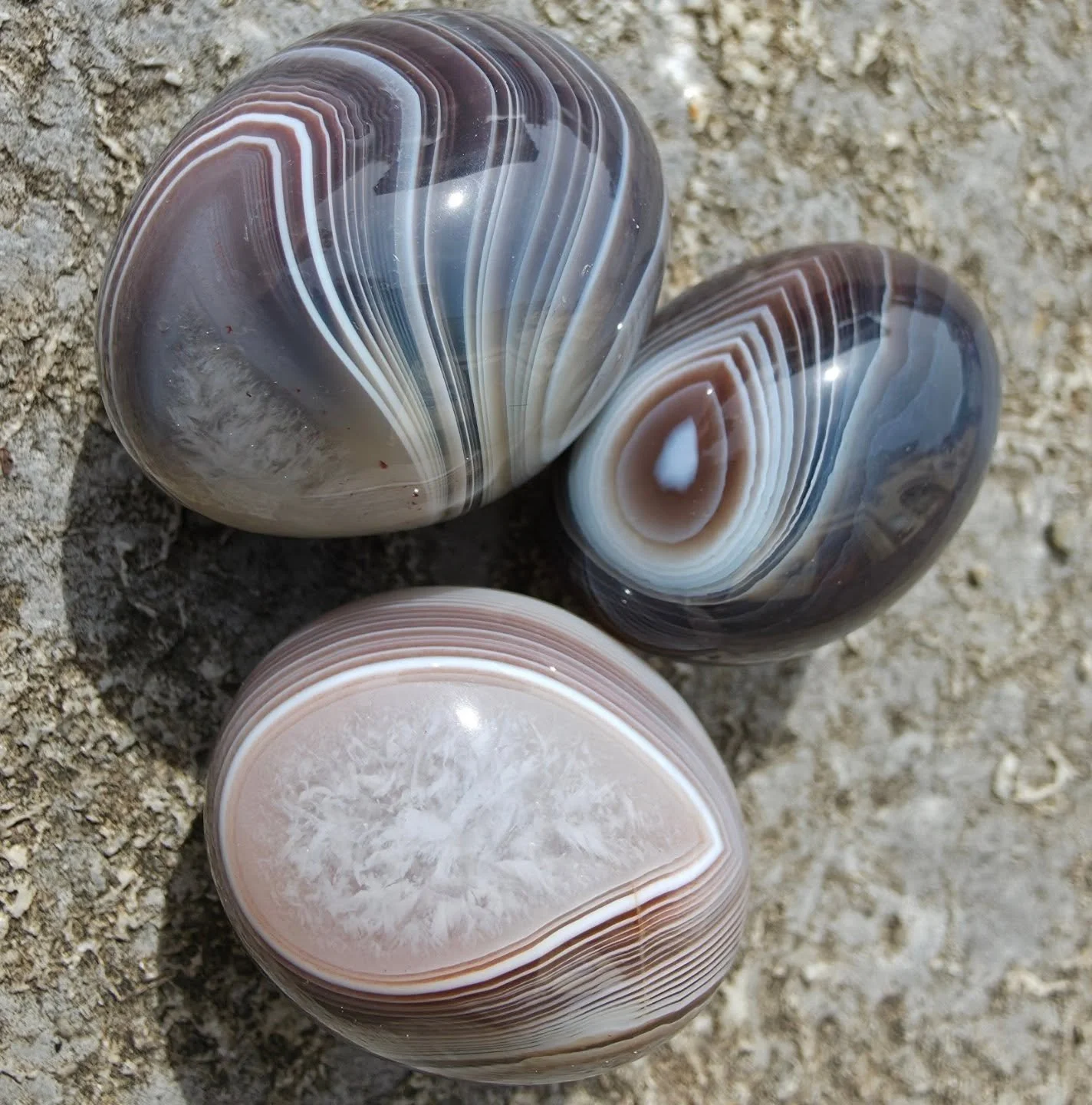 Finding Stillness in the Layers ✨
​Take a moment to look at these mesmerizing ribbons of cream, gray, and earthy tones. Known as the "Stone of Change," Botswana Agate is a deeply soothing spiritual ally. 🔮
​🌟 Spiritual Benefits:
​Deep Gro