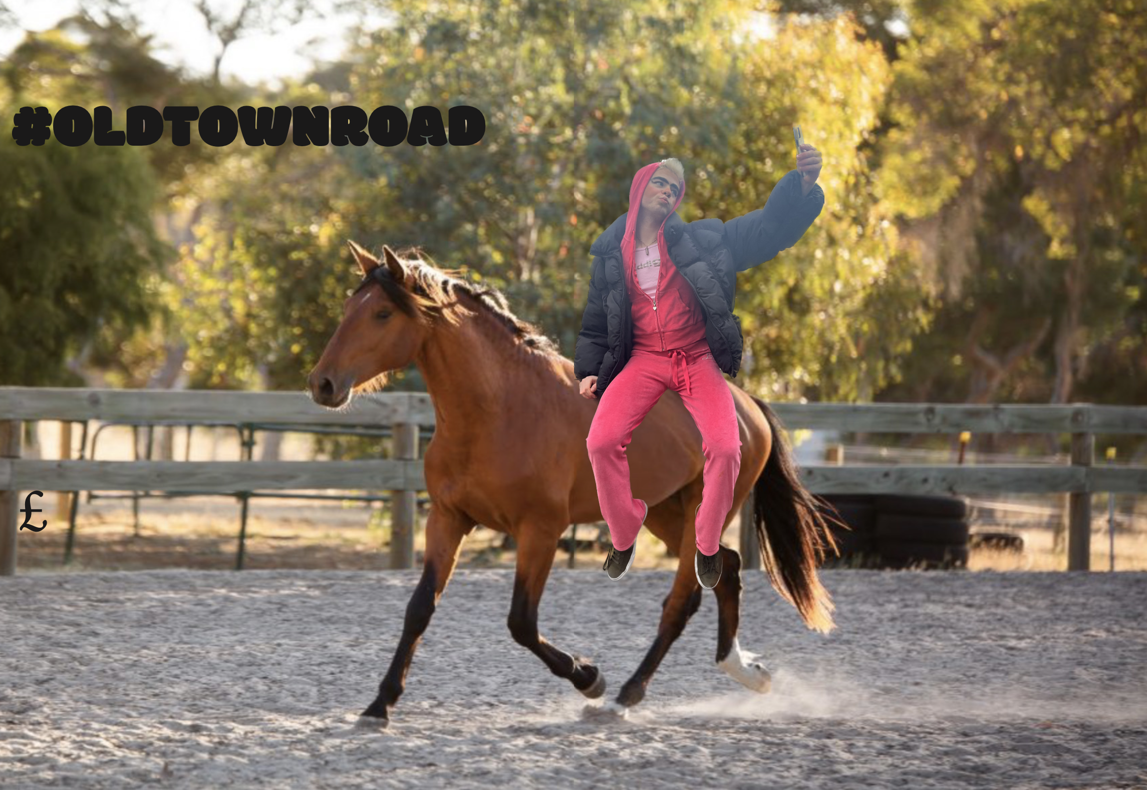 Screenshot 2025-12-11 at 11.06.28 am.png