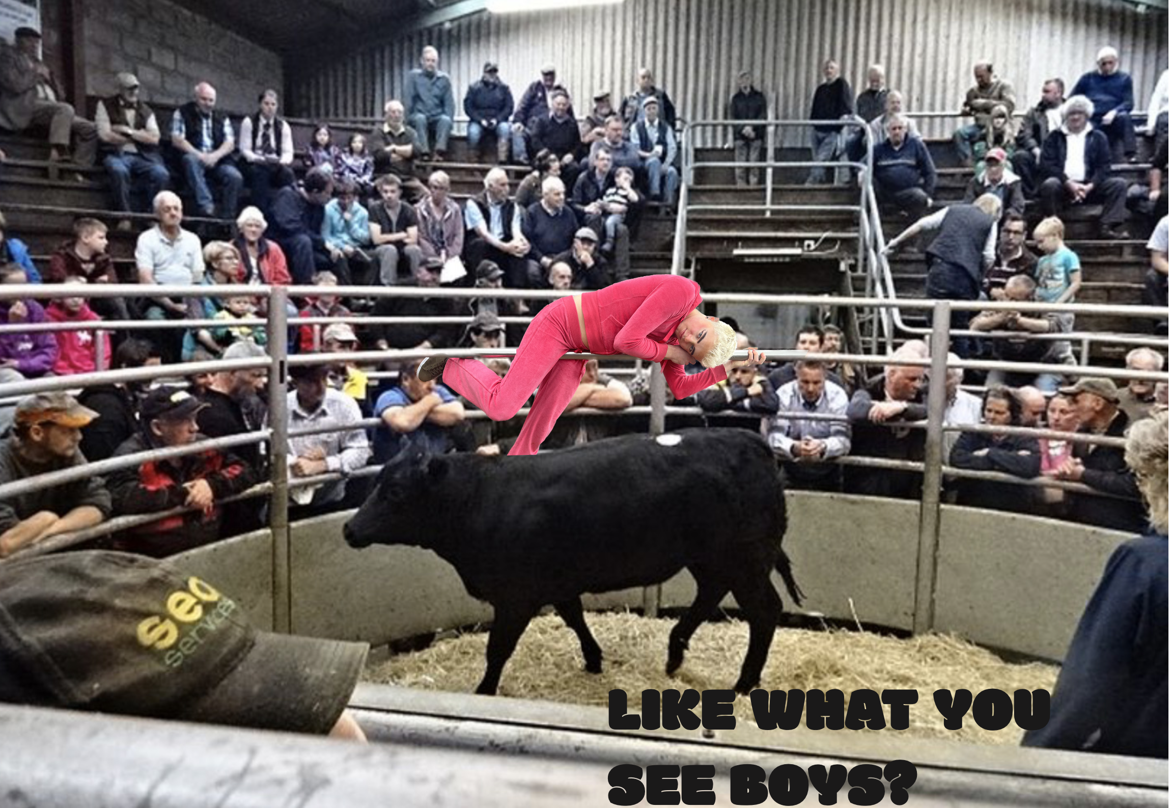 Screenshot 2025-12-11 at 11.06.56 am.png