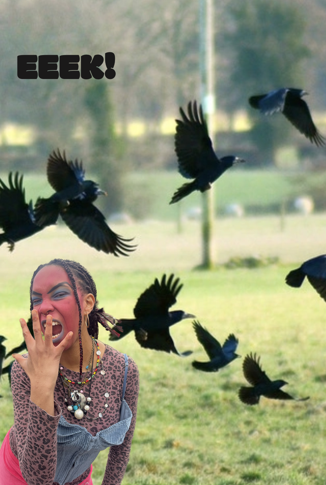 Screenshot 2025-12-11 at 11.05.05 am.png