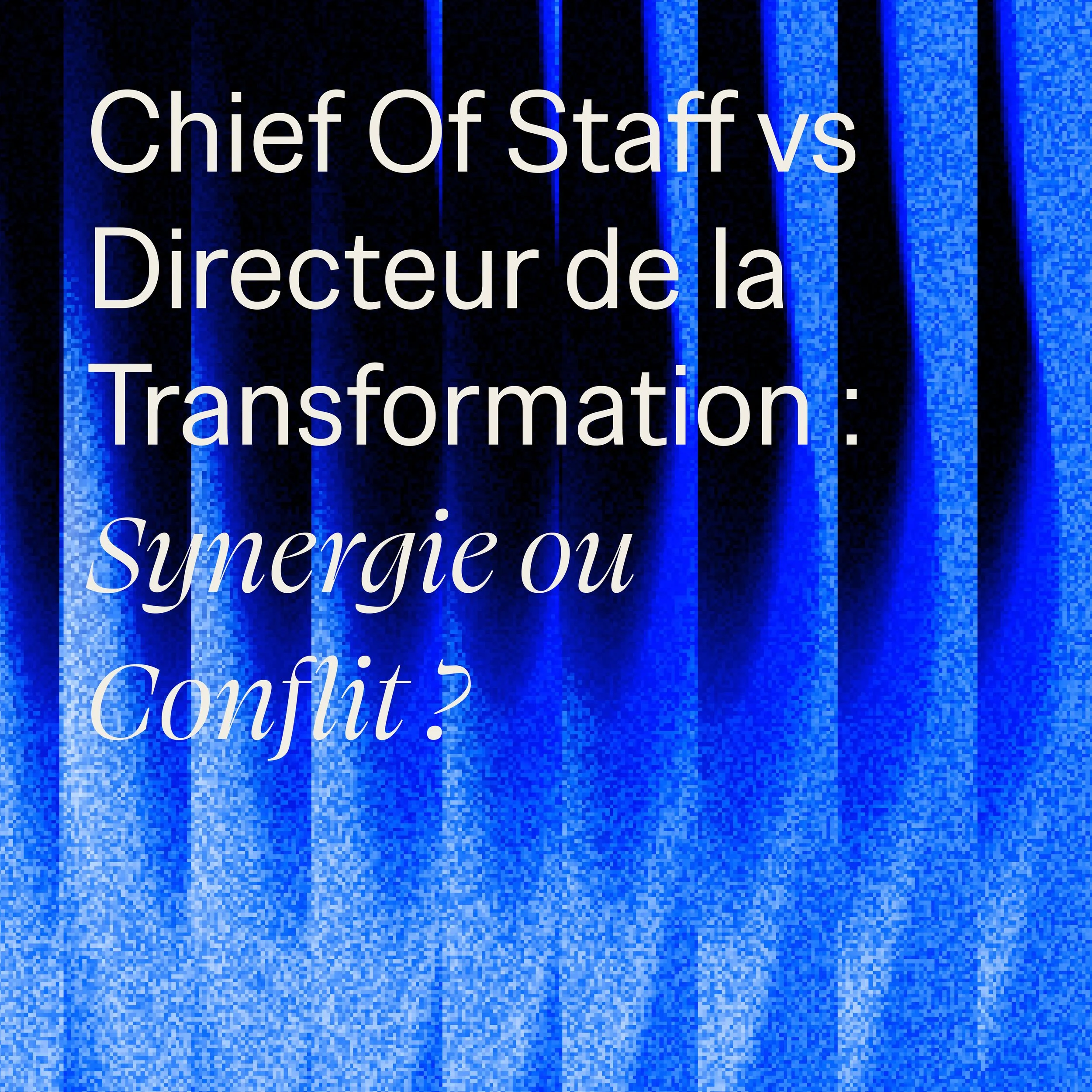 Chief of Staff and Director of Transformation: two complementary roles or two roles that overlap?