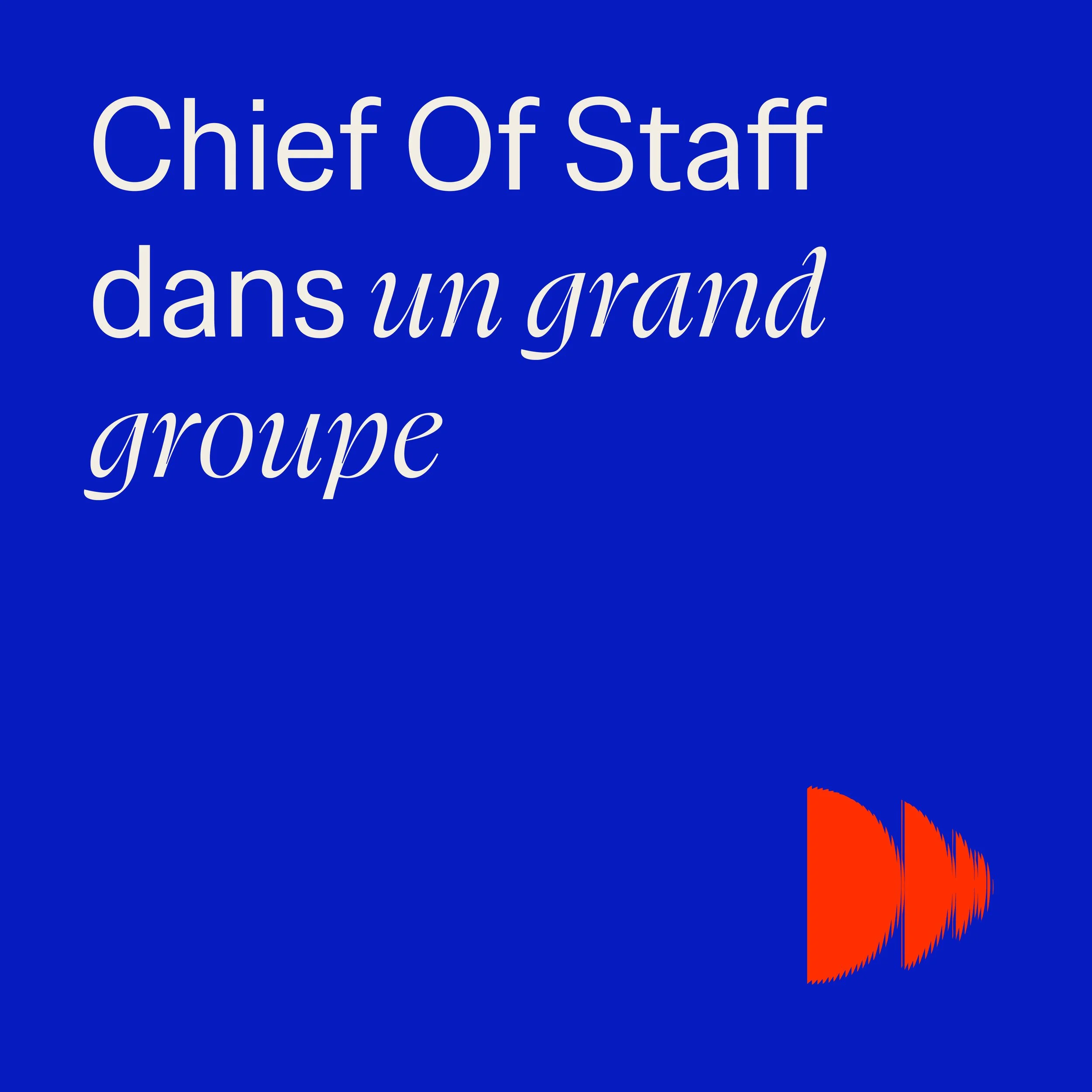 Chief of Staff in a large corporation