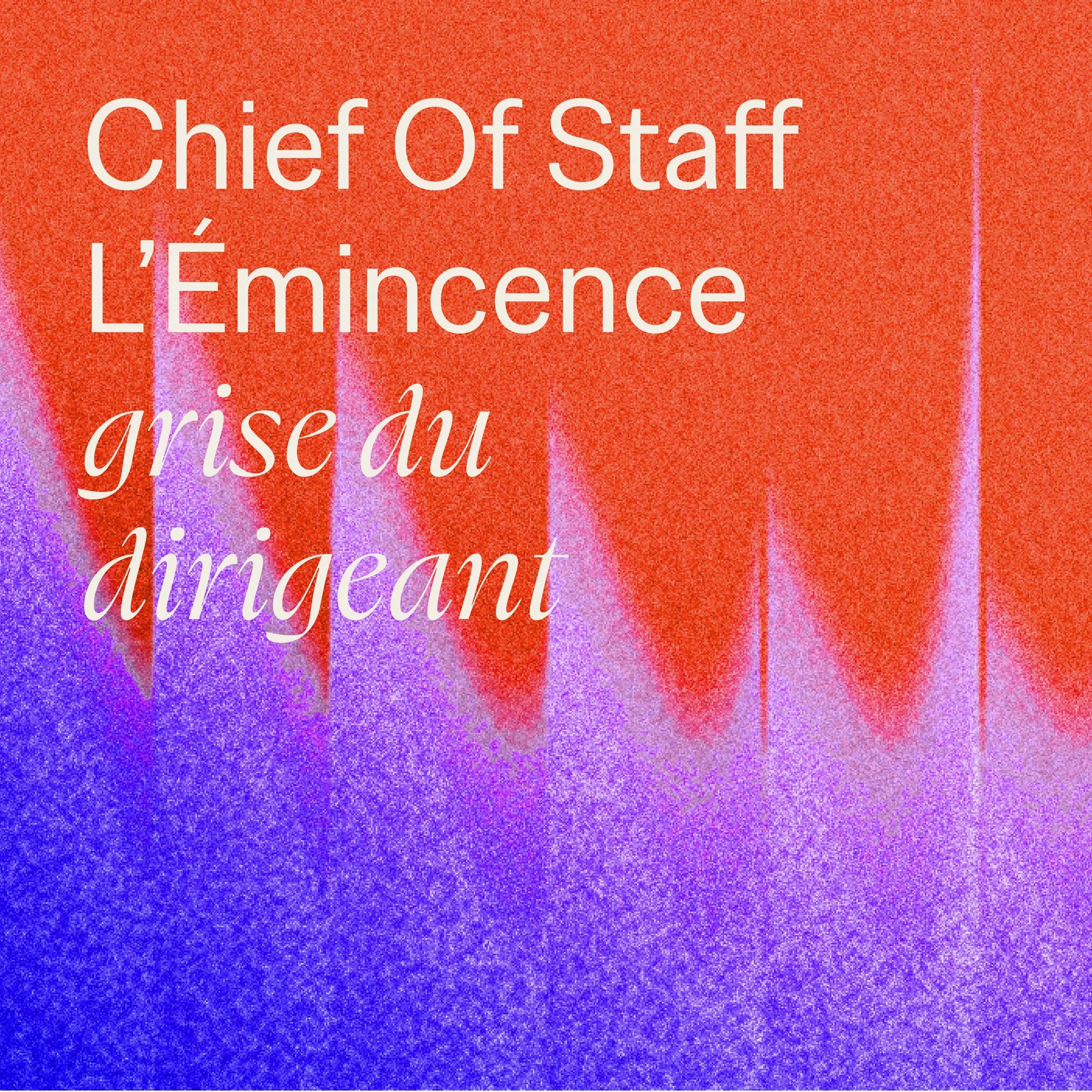 Chief of Staff: The Leader's Right-Hand Person