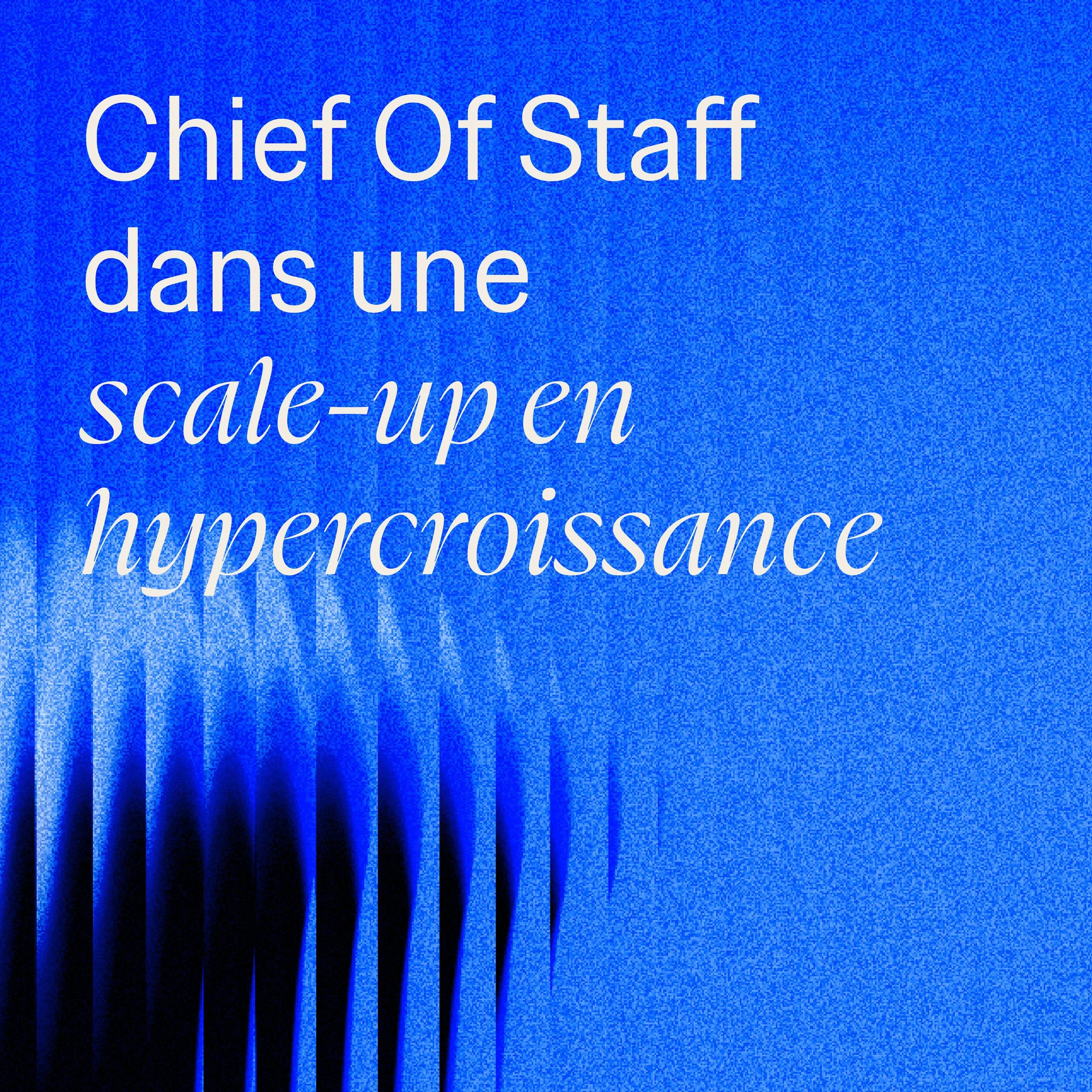 Hypergrowth: how does the chief of staff shape the success of scale-ups?