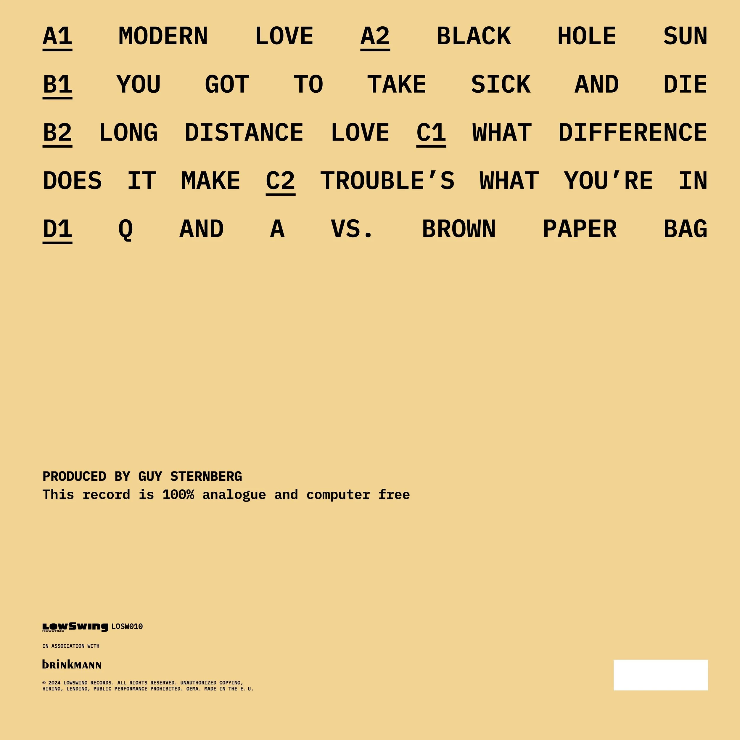 Fink - The LowSwing Sessions LOSW010 back.jpg