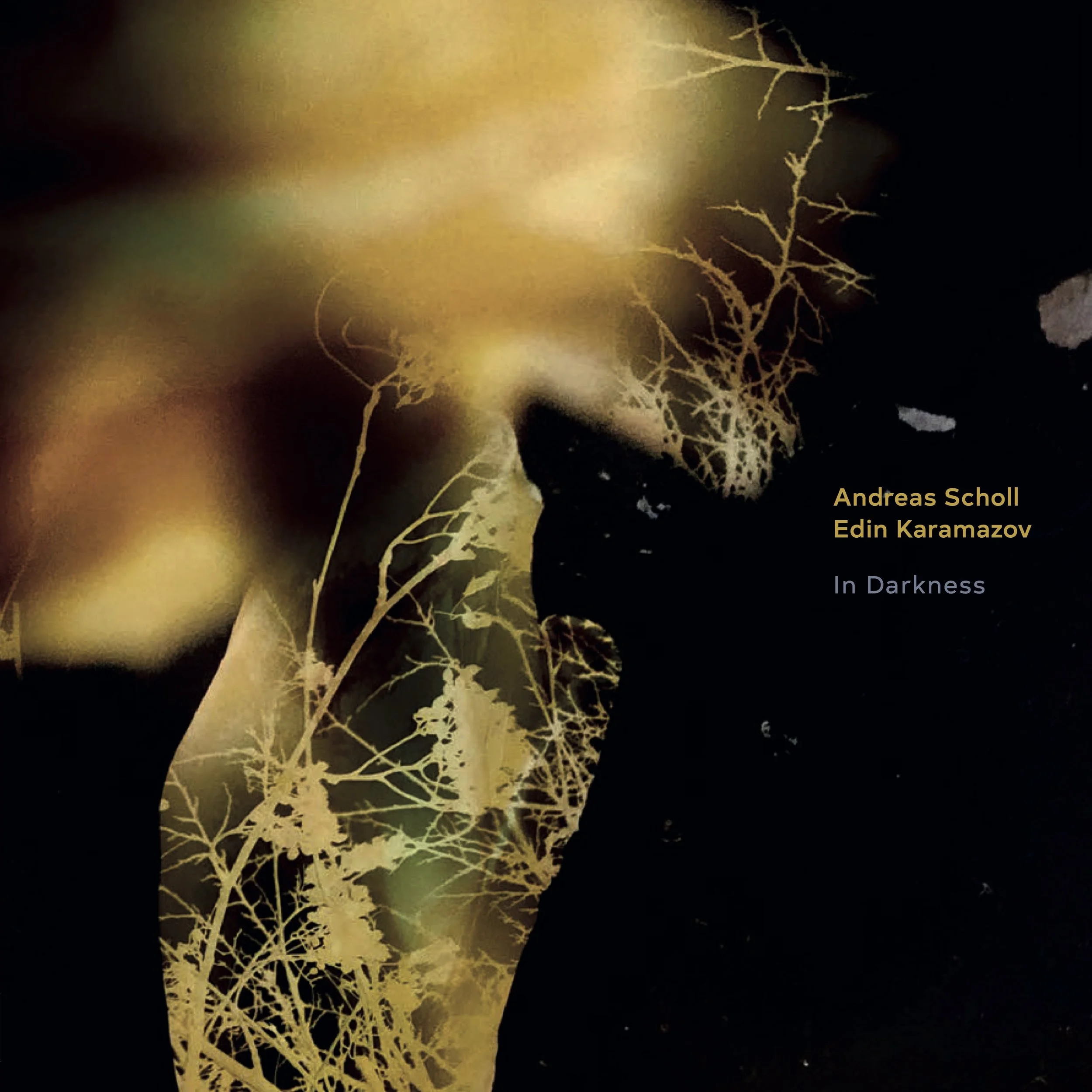 Andreas Scholl & Edin Karamazov - In Darkness LOSW014 Vinyl (Pre order for release on 16/1/26)