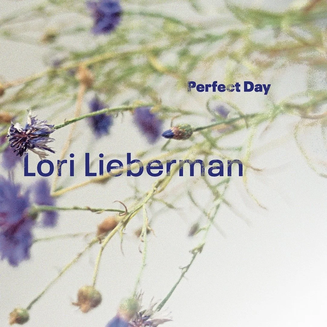 Lori Lieberman Feat. Fink - Perfect Day LOSW012 Vinyl