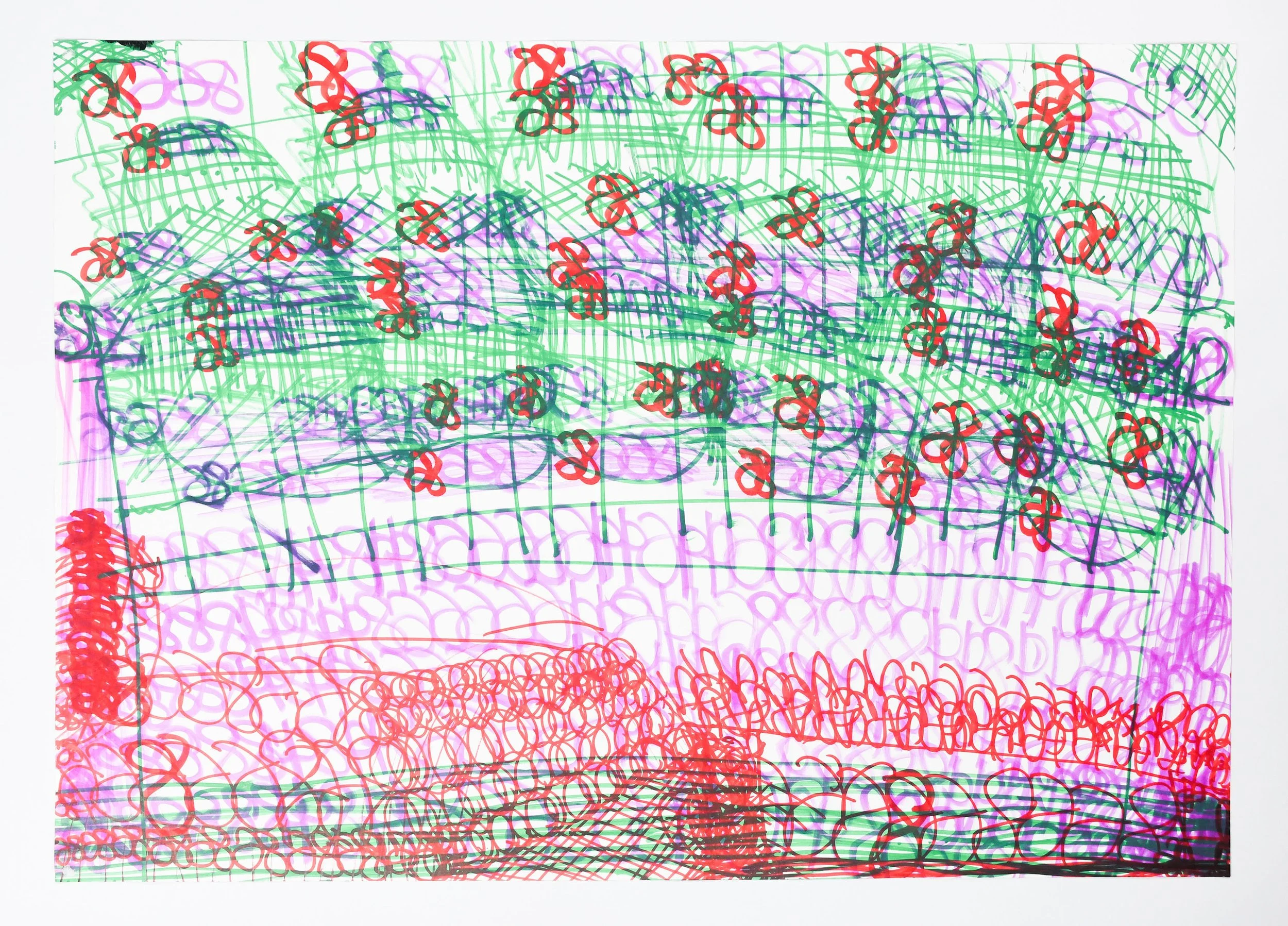 Colorful abstract drawing with overlapping scribbles and grid patterns in red, green, purple, and black.