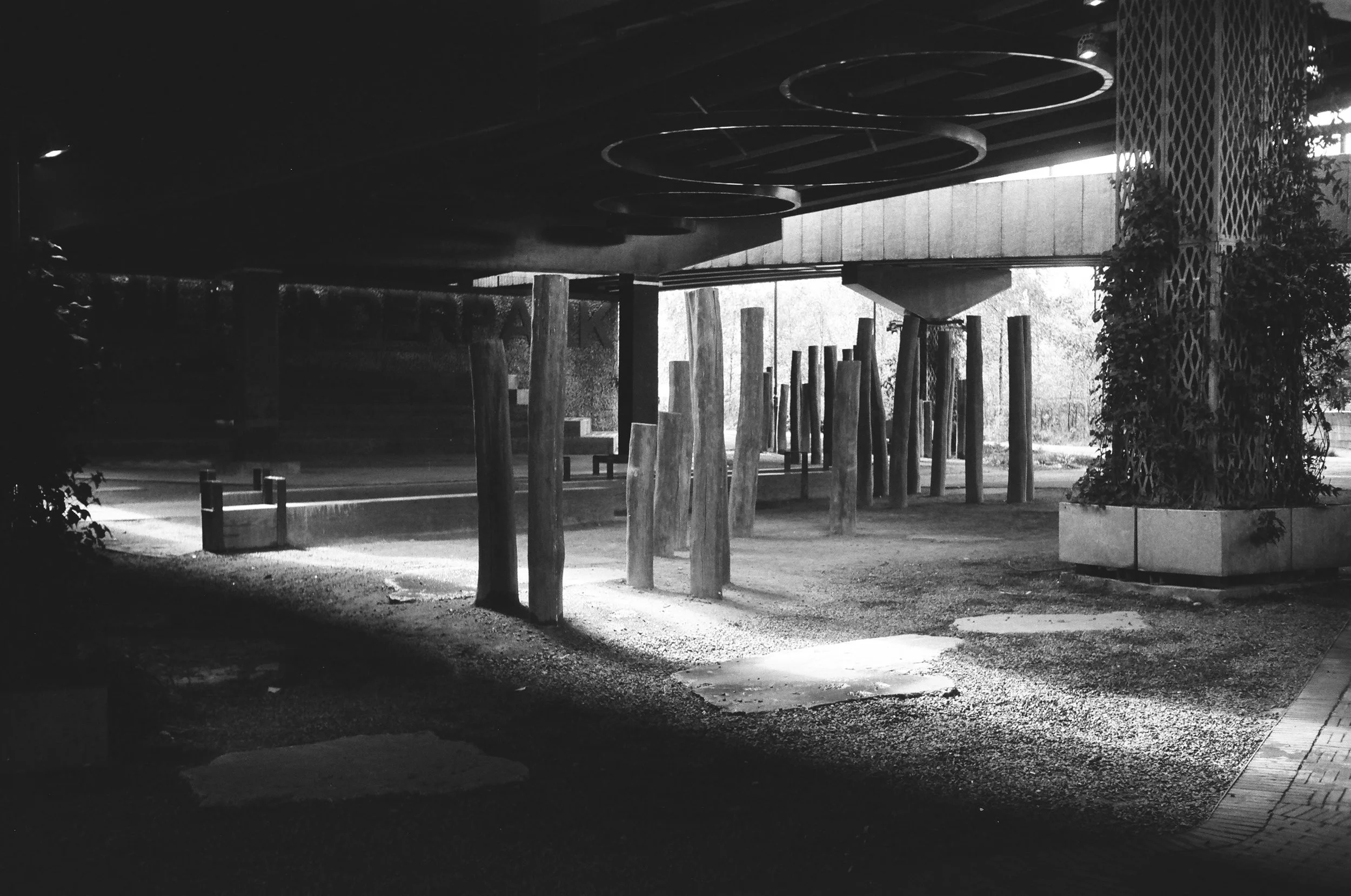 Nighttime outdoor scene featuring wooden posts, tree, and some circular light fixtures on the ceiling.