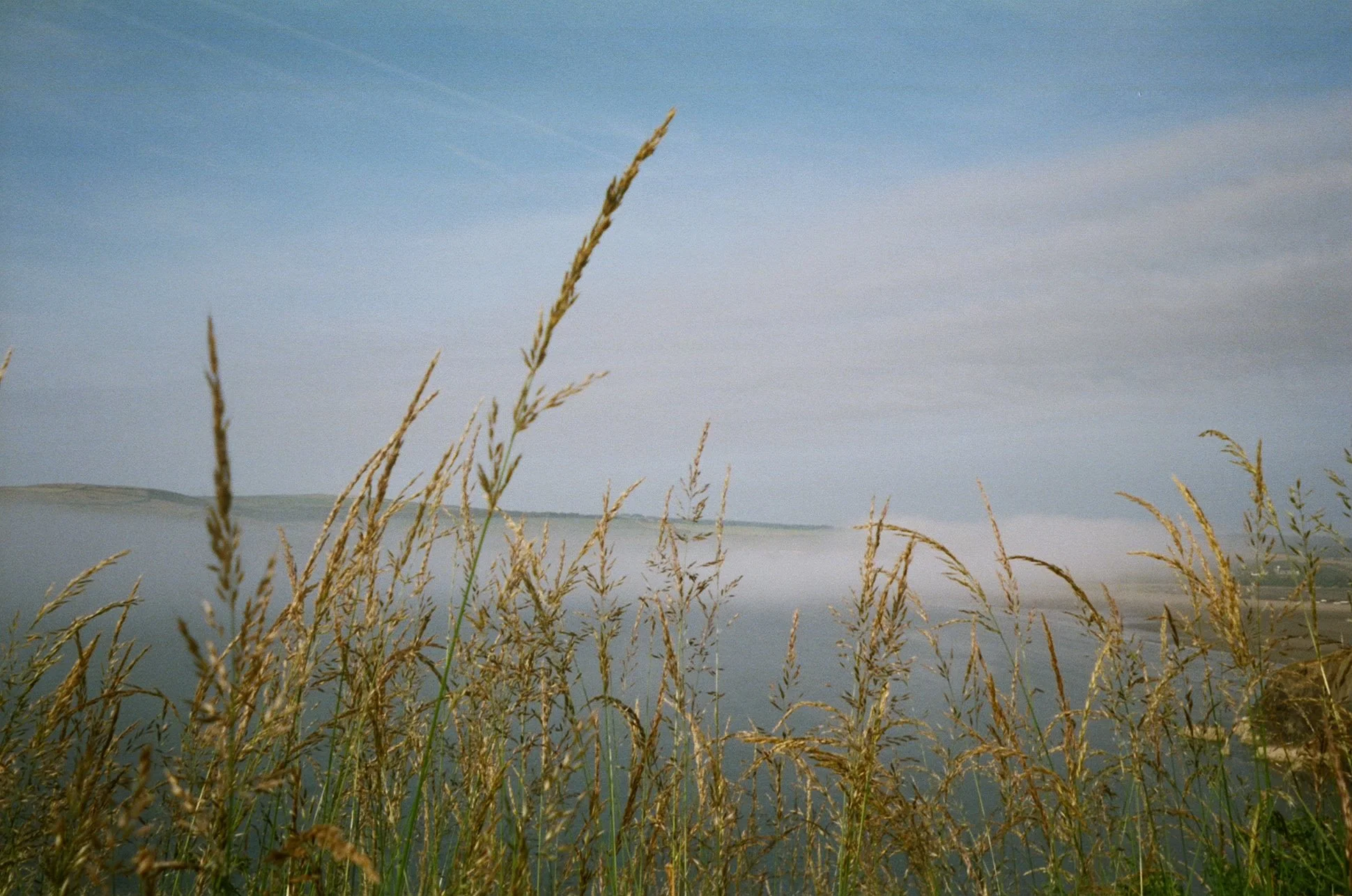 Tall dry grass in the foreground with a misty lake and hills in the background under a partly cloudy sky.
