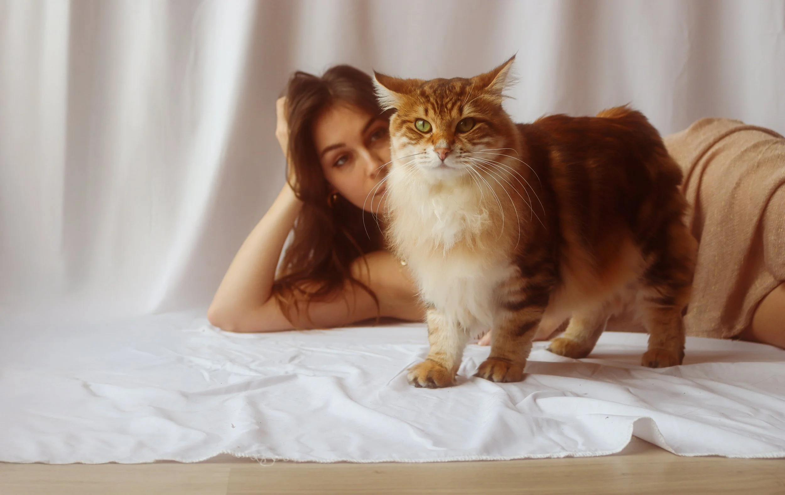 Une femme allongée sur un lit avec un gros chat roux à poils longs devant elle, en arrière-plan un rideau blanc.