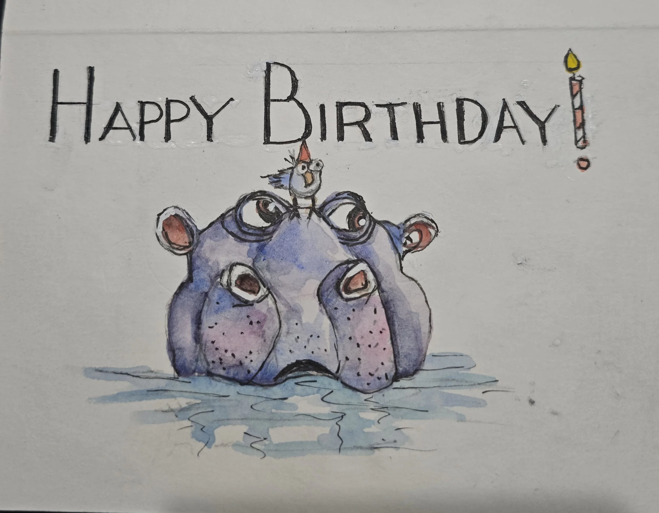 Hippo Surprise
