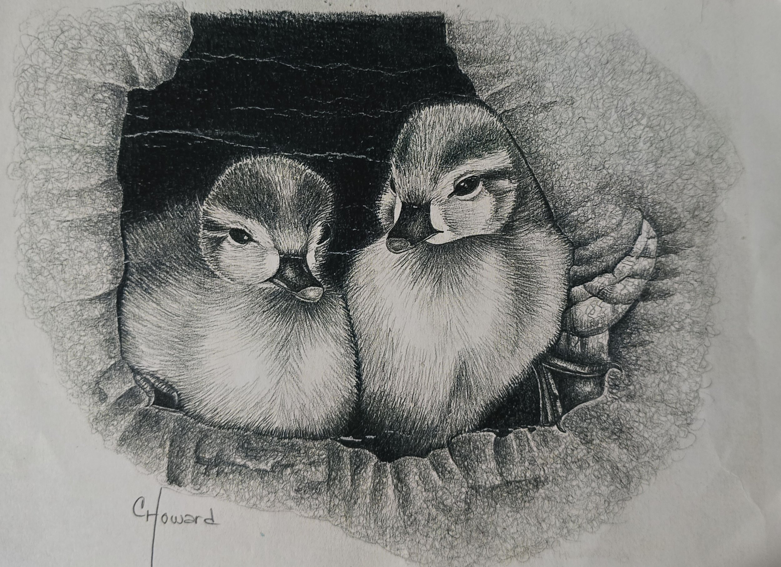 Cozy Nest