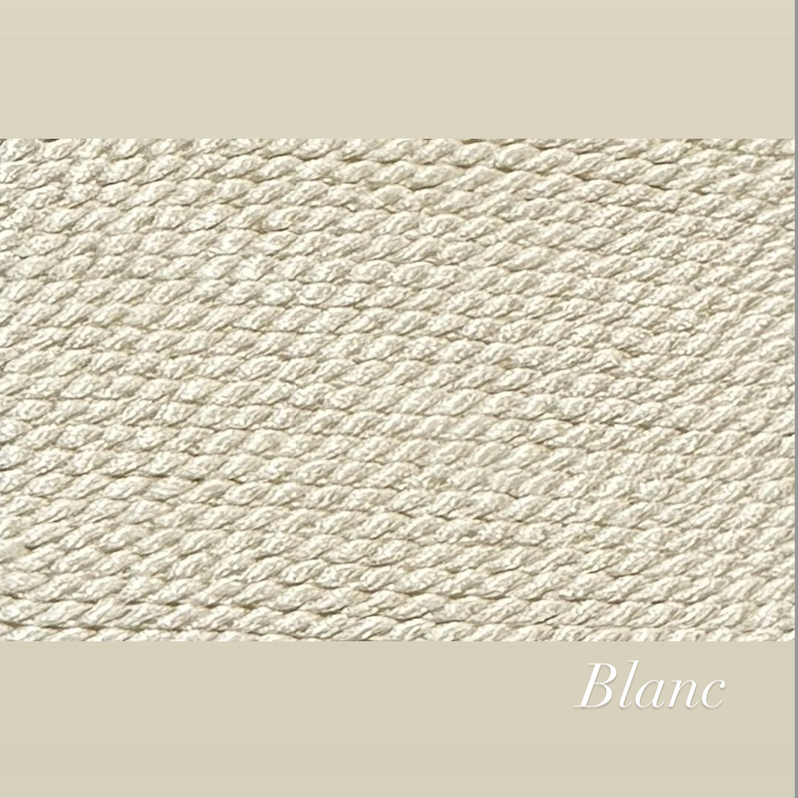 Capture d’écran 2025-11-29 à 11.11.08.png