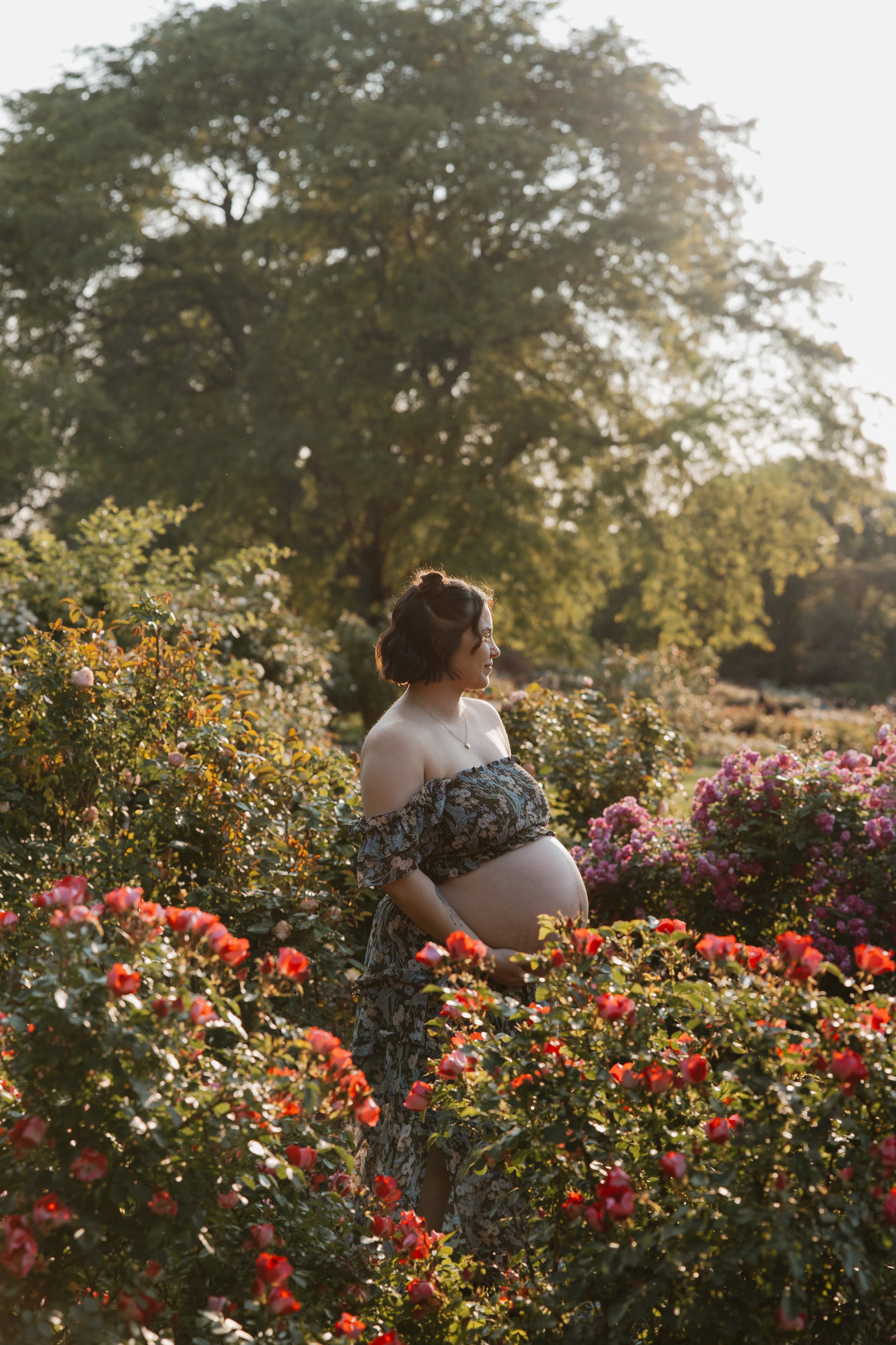 Pregnant woman in floral dress standing among blooming pink and red roses in a garden during sunset.