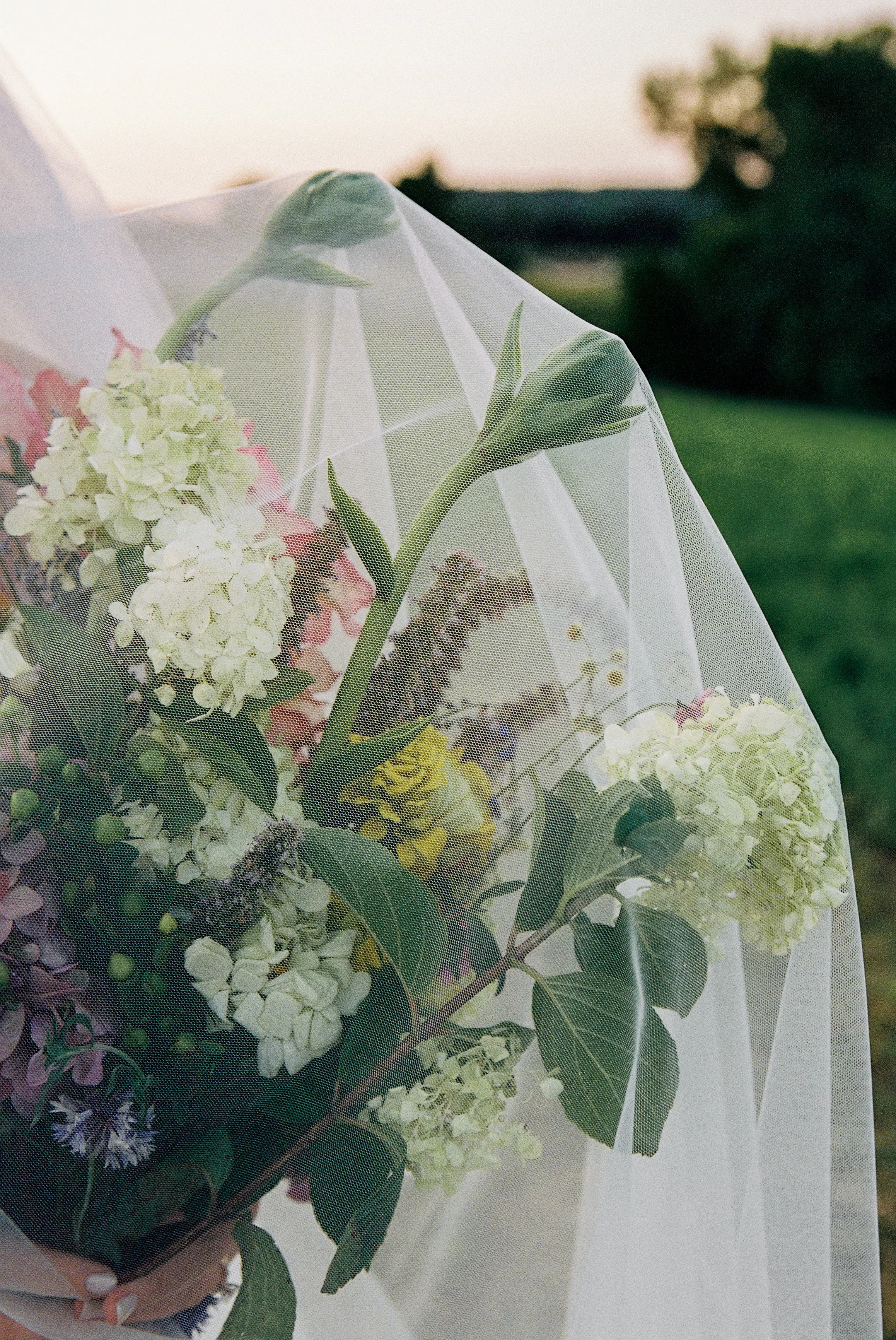 A bouquet of flowers wrapped in tulle mesh, with white and light pink blossoms, green leaves, and butterflies, outdoors during sunset.