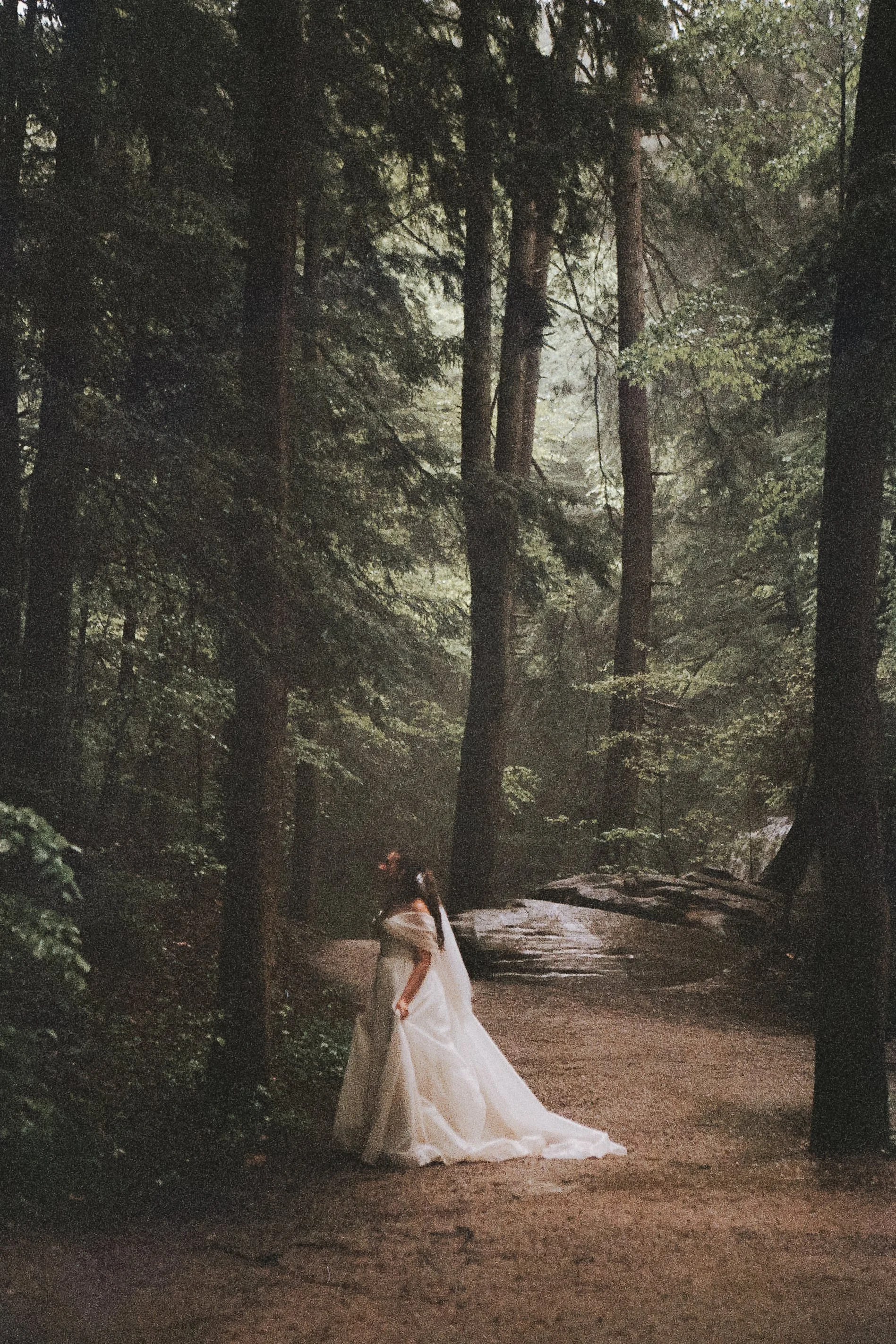A woman in a white wedding dress standing in a forested area with tall trees and greenery.