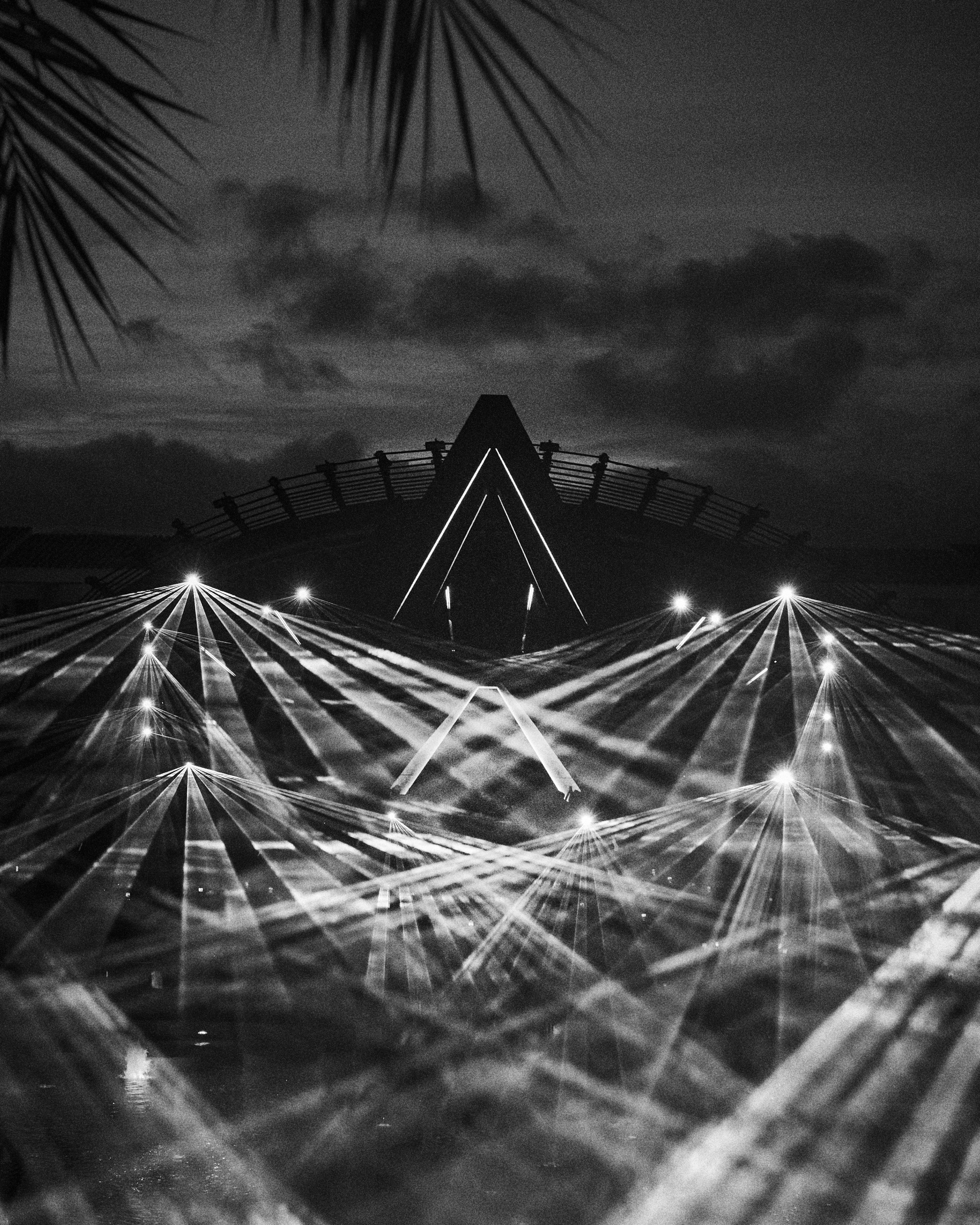 A black and white photo of a Ferris wheel at night, with the sky and clouds in the background, and palm tree leaves partially visible at the top left corner.