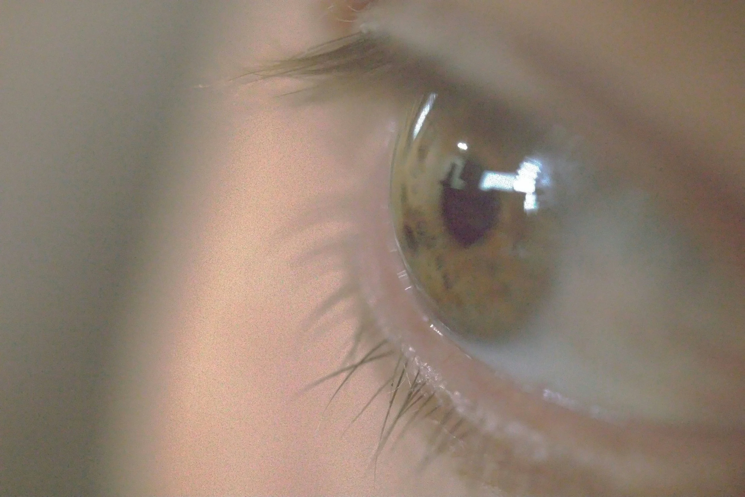 Close-up of a human eye, showcasing the iris, eyelashes, and reflection in the cornea.