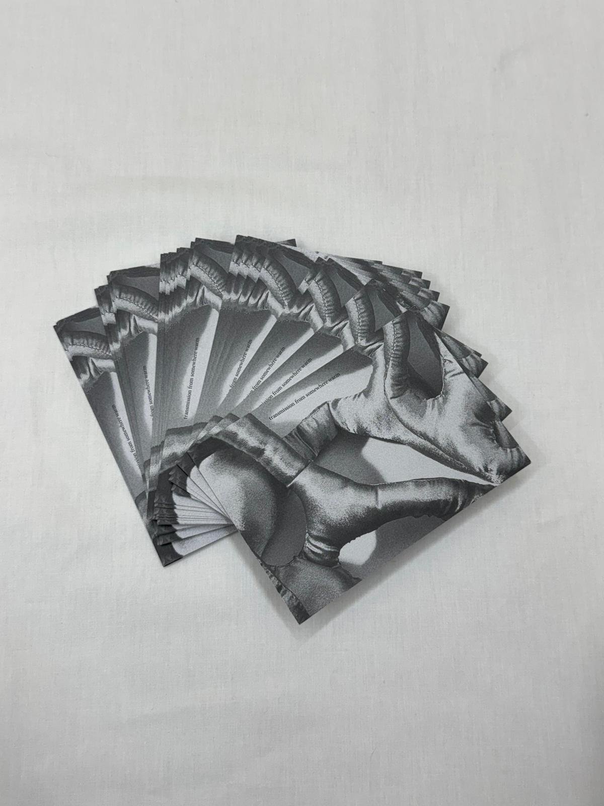 WhatsApp Image 2026-01-11 at 22.32.14 (3).jpeg