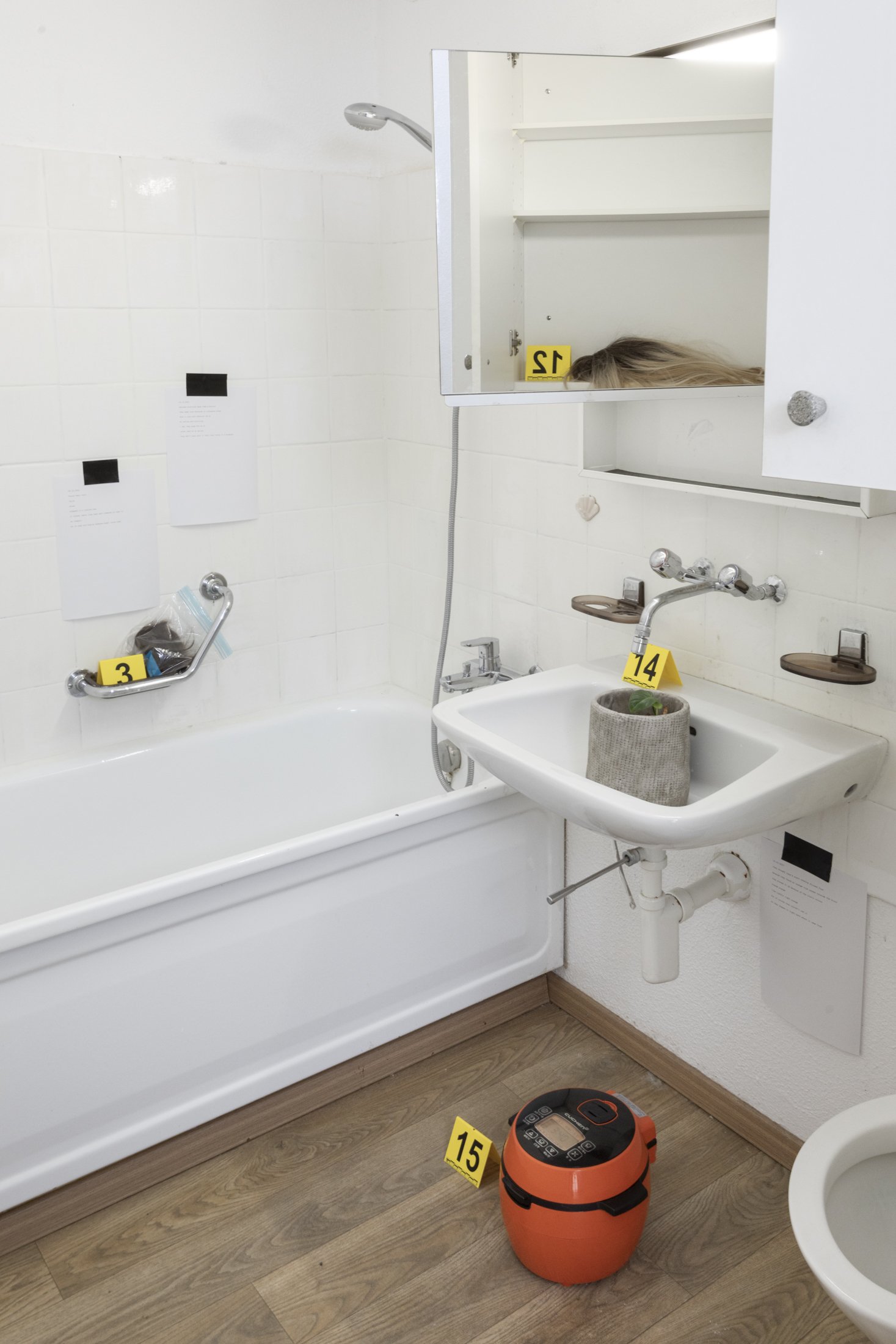 Oana Popa
they think they are, 2025 installation with observation notes, found objects, variable in size

Photo credit: Oliver Kümmerli