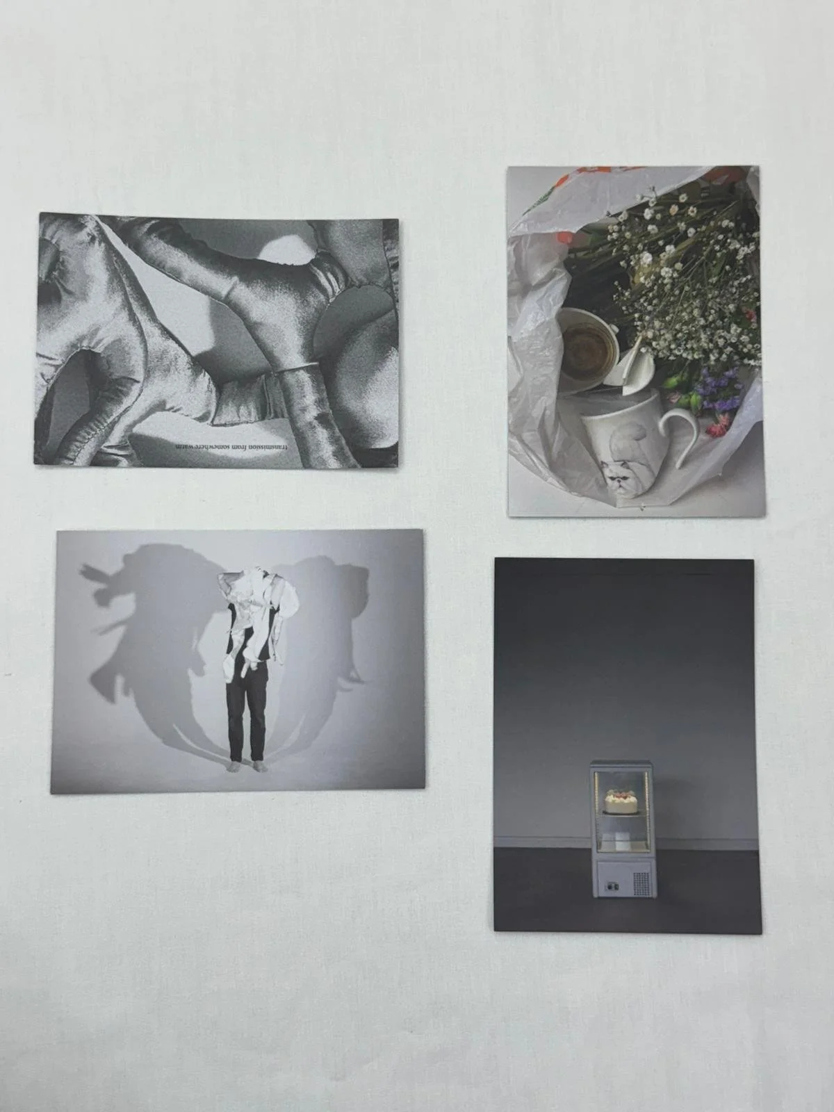 4 Post Cards - The Papillarya Collective