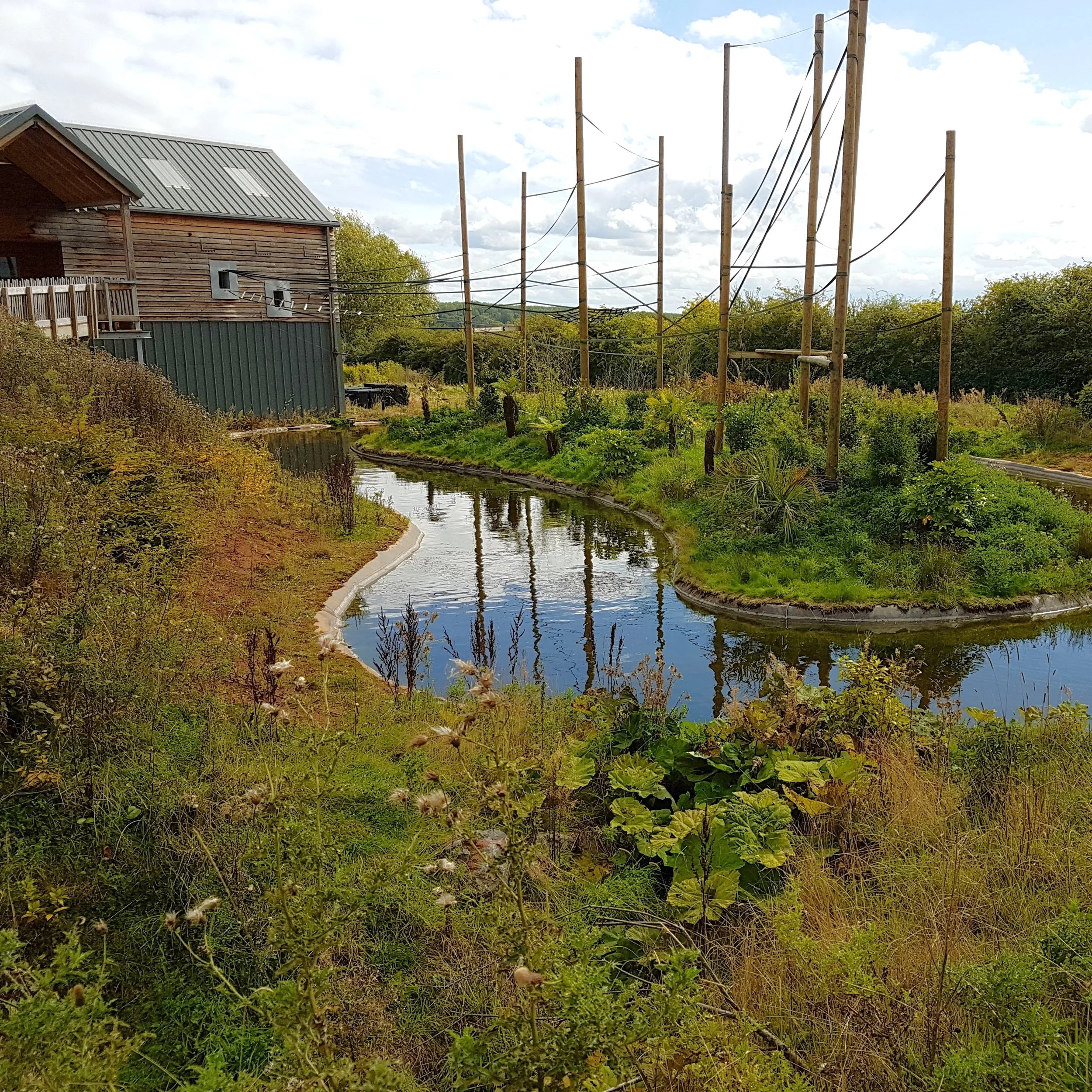 A small pond with green vegetation around it, a wooden building to the left, and tall poles with wires on a cloudy day.