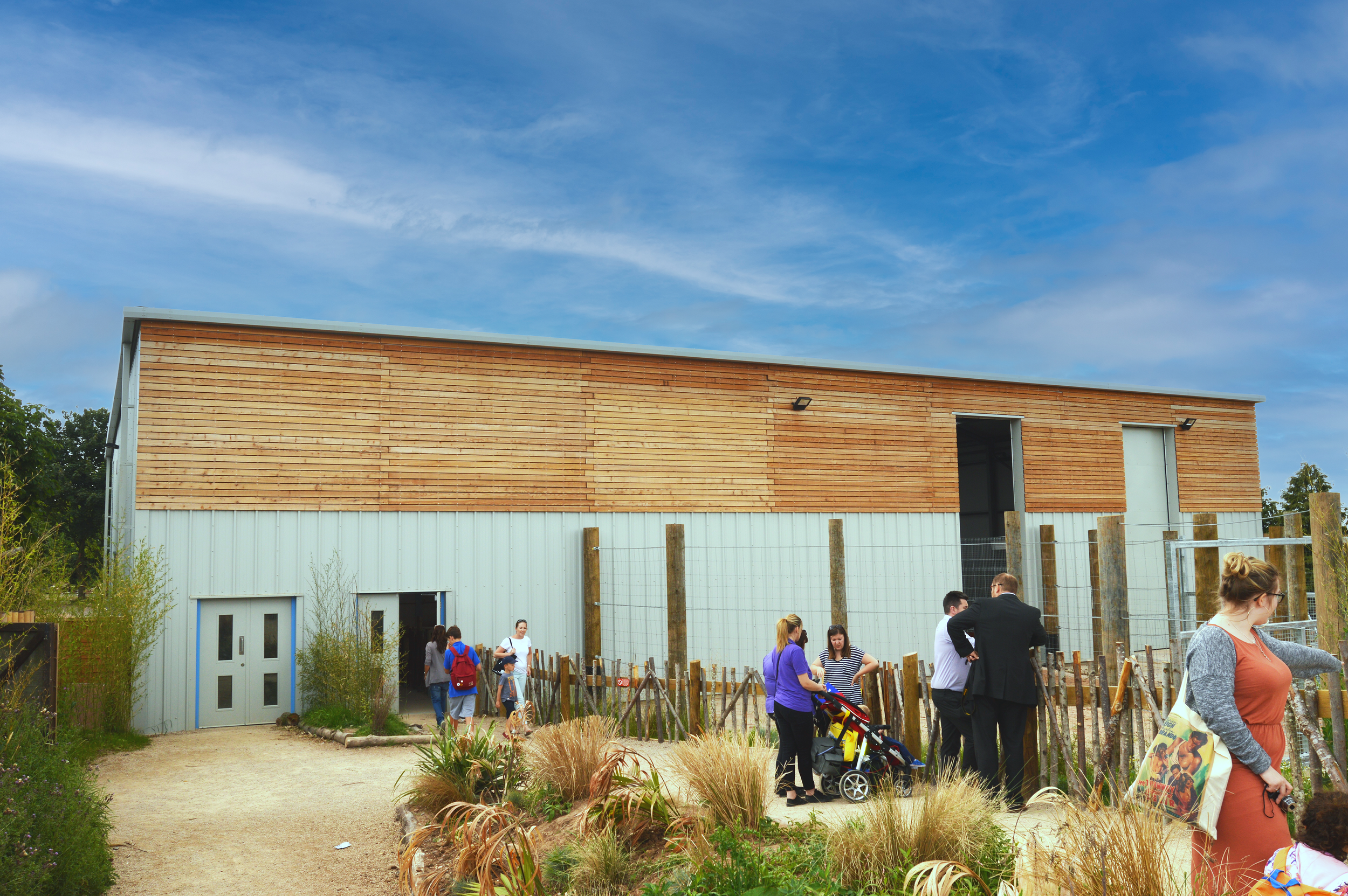 Twycross Zoo Giraffe
