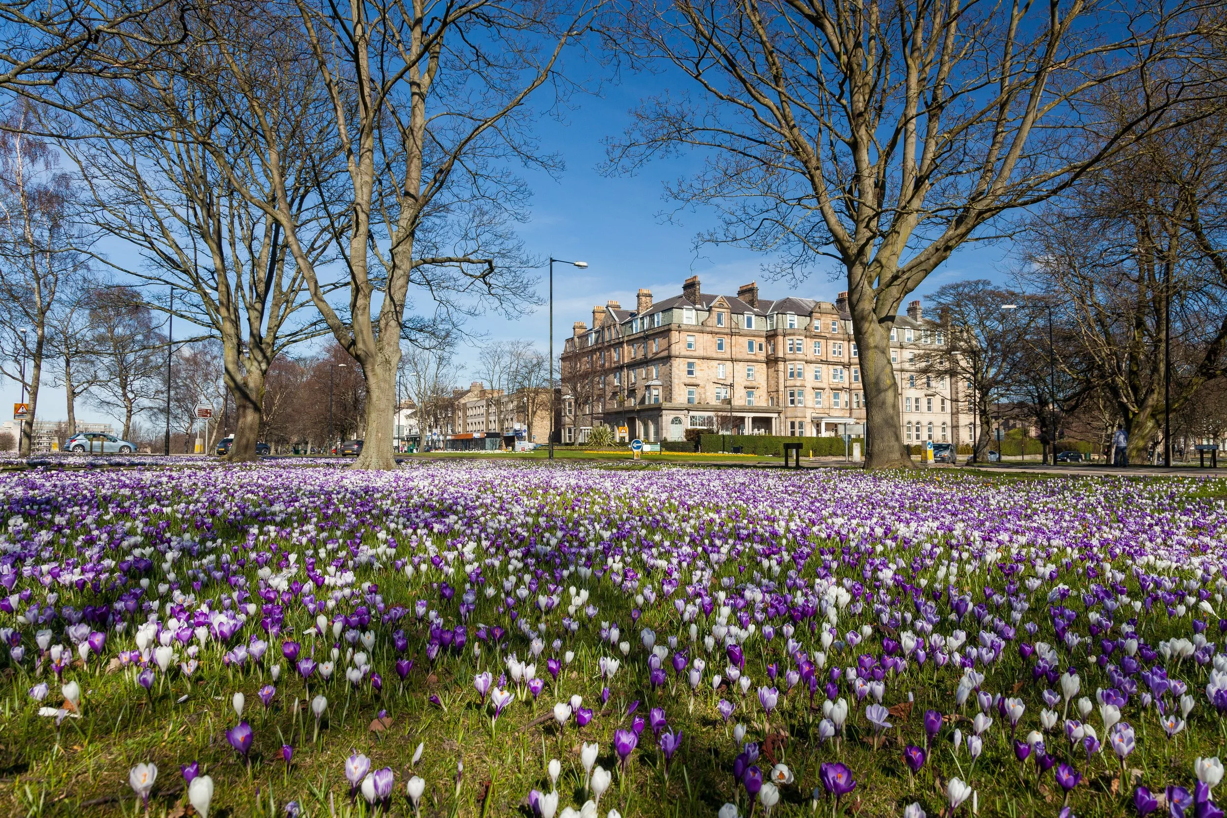 Harrogate day trip - Friday 20 March