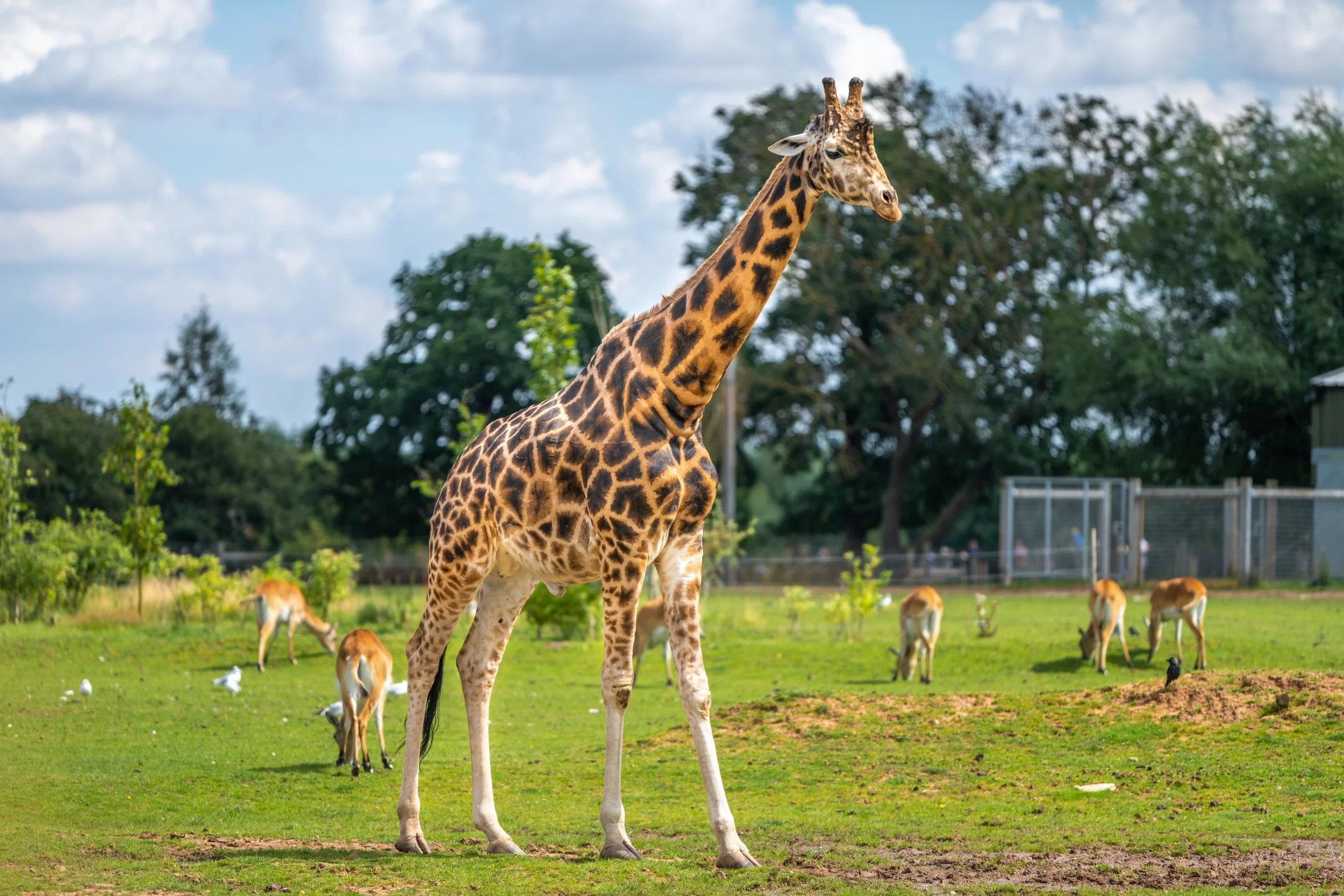 Yorkshire Wildlife Park day trip - Sunday 12 April