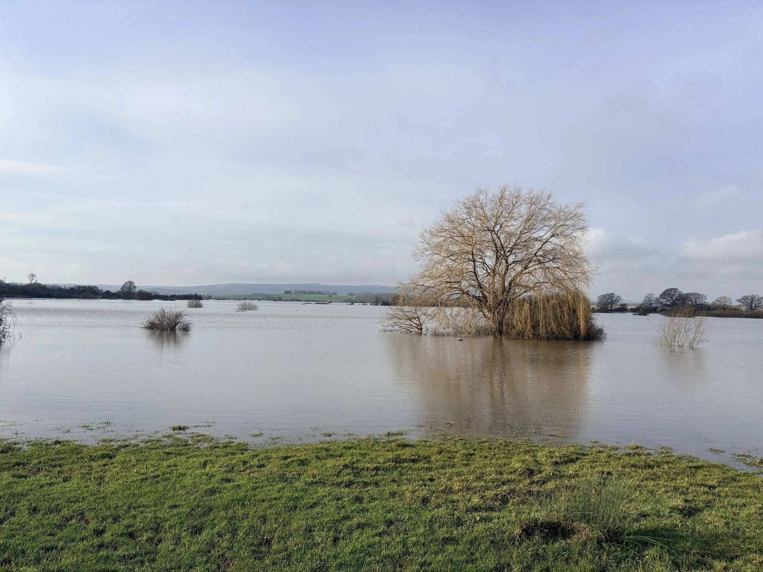 Flood waters February 2026