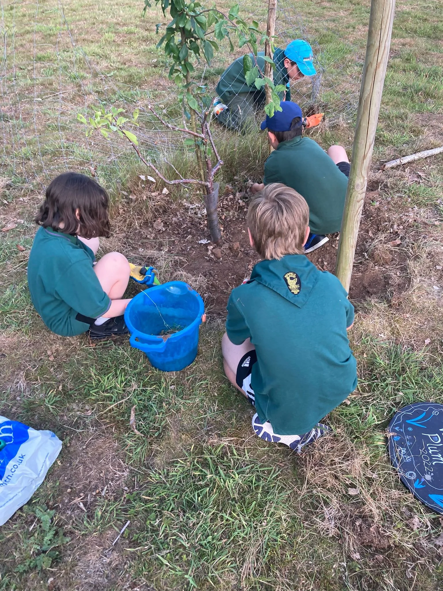 Scouts helping in the Community Orchard