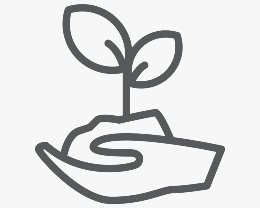 Line drawing of a hand holding a small plant with two leaves.