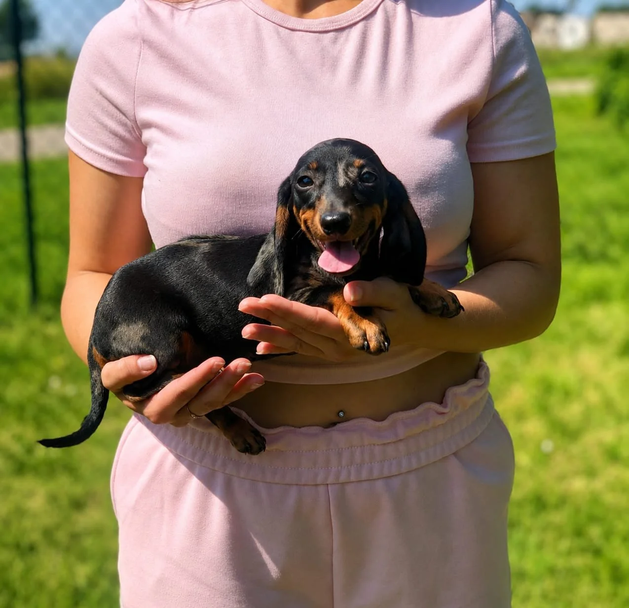 Una persona che indossa una maglietta rosa sta tenendo un cucciolo di Bassotto nero e marrone in un parco soleggiato.