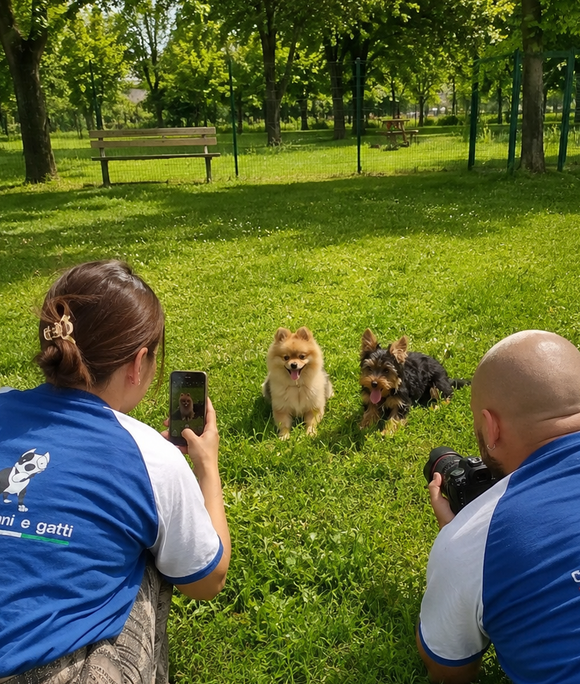 Due persone fotografano due cani felici seduti sull'erba in un parco verde con alberi.