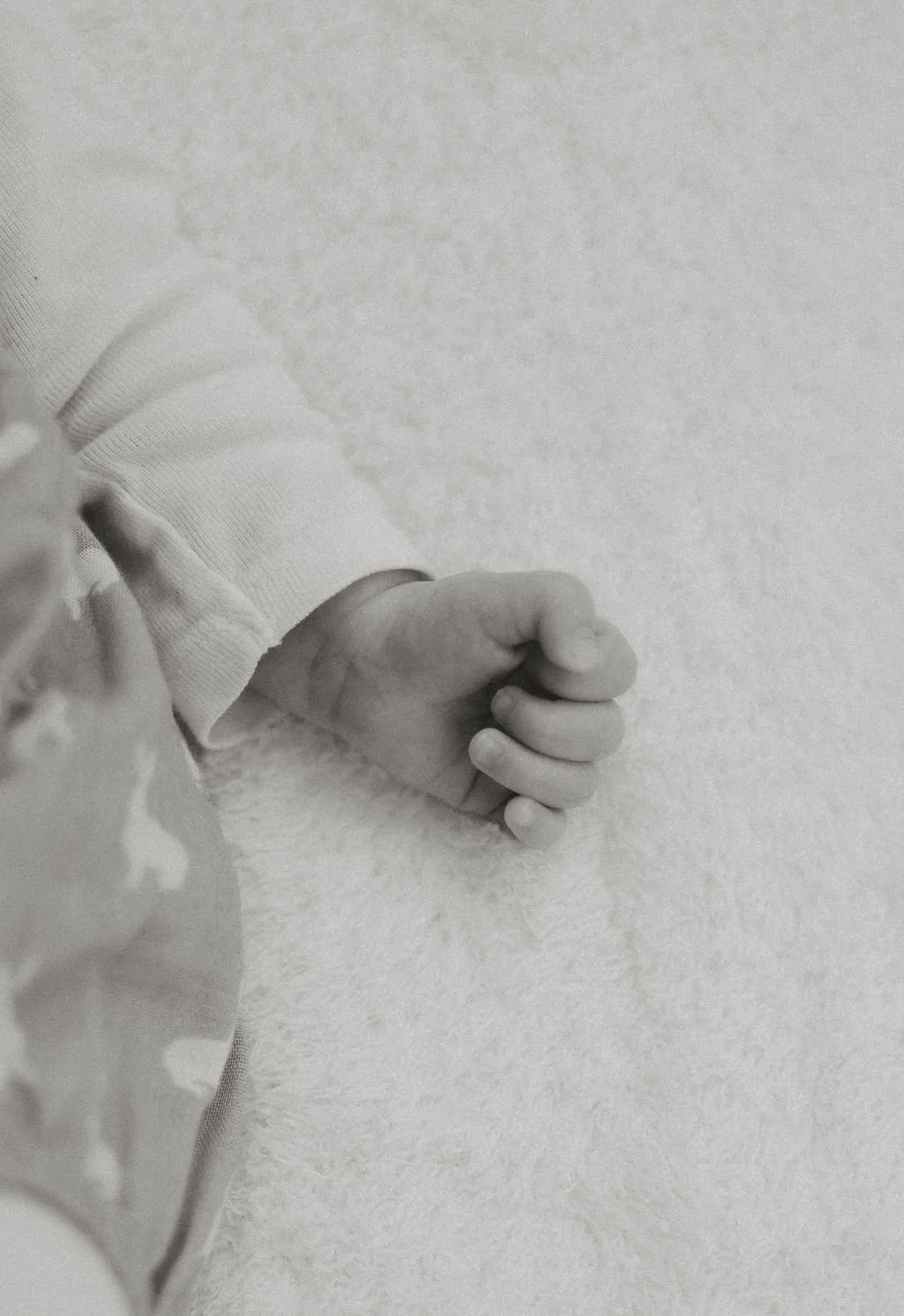 Newborn-Shoot-South-Yorkshire-Hollie-Horn-Photography-5303.jpg