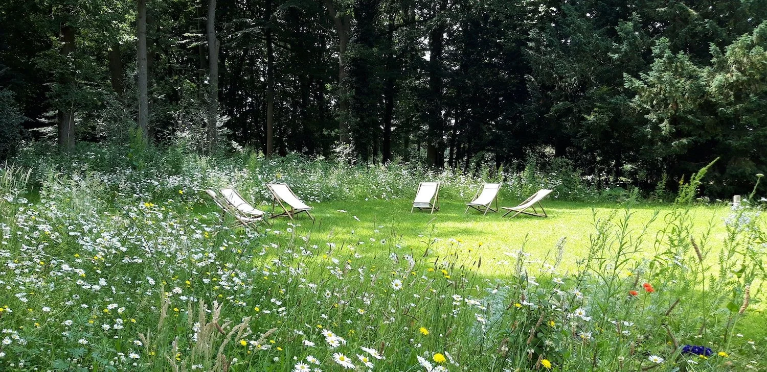 Retreat Christy Linley | A grassy field with six reclined lounge chairs arranged in a semi-circle, surrounded by wildflowers, with a dense tree line in the background.