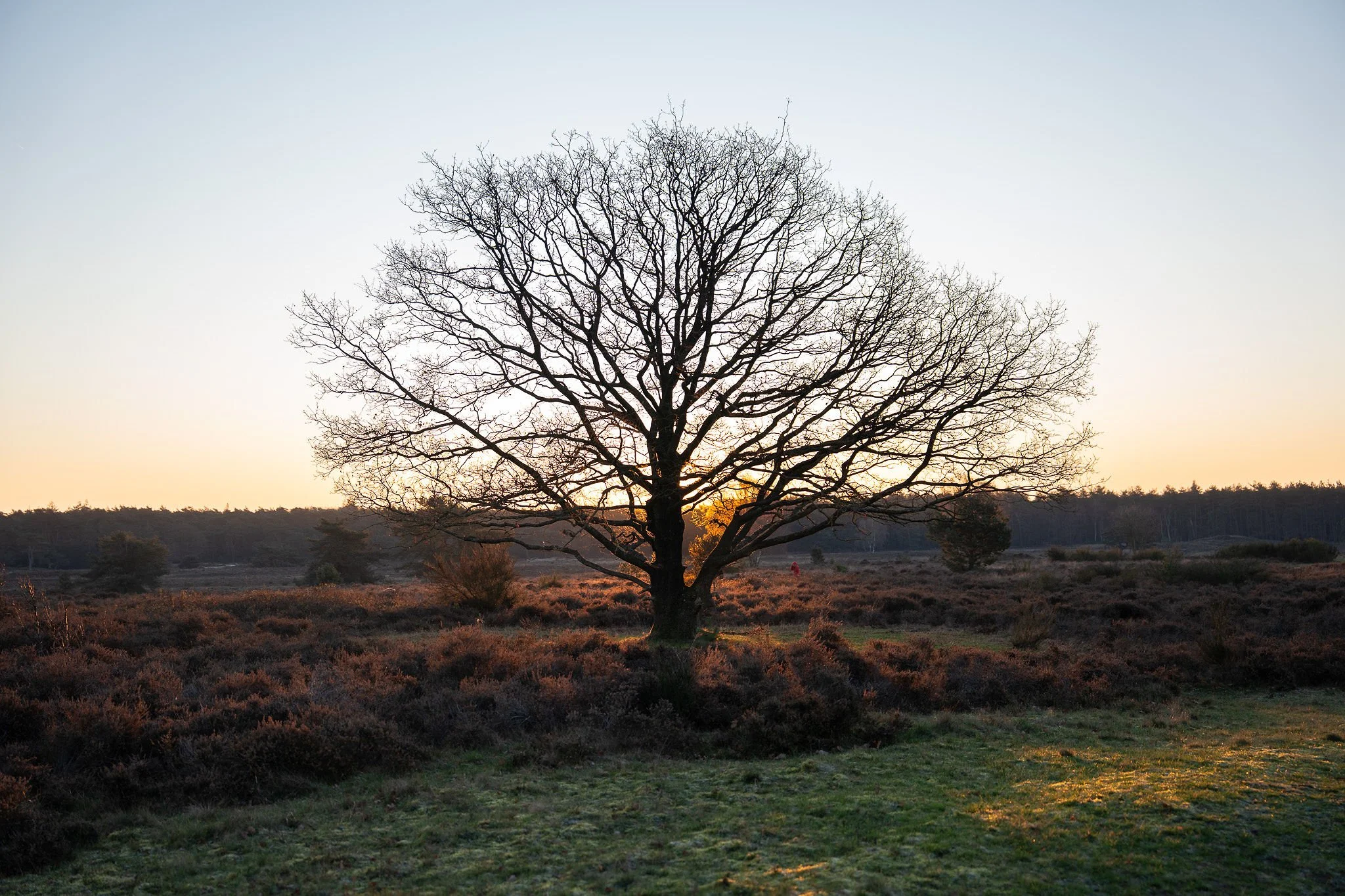 Back to Me — Becoming Your Own Best Friend