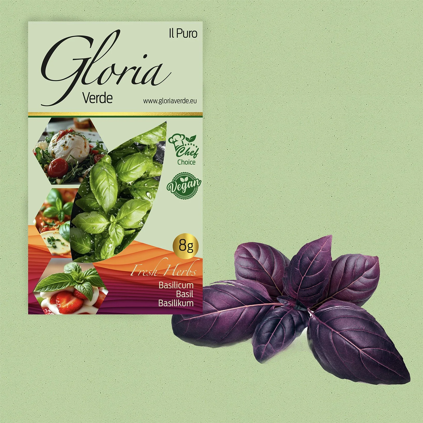 Package of Gloria Verde fresh basil herbs beside a bunch of purple basil leaves on a light green background.