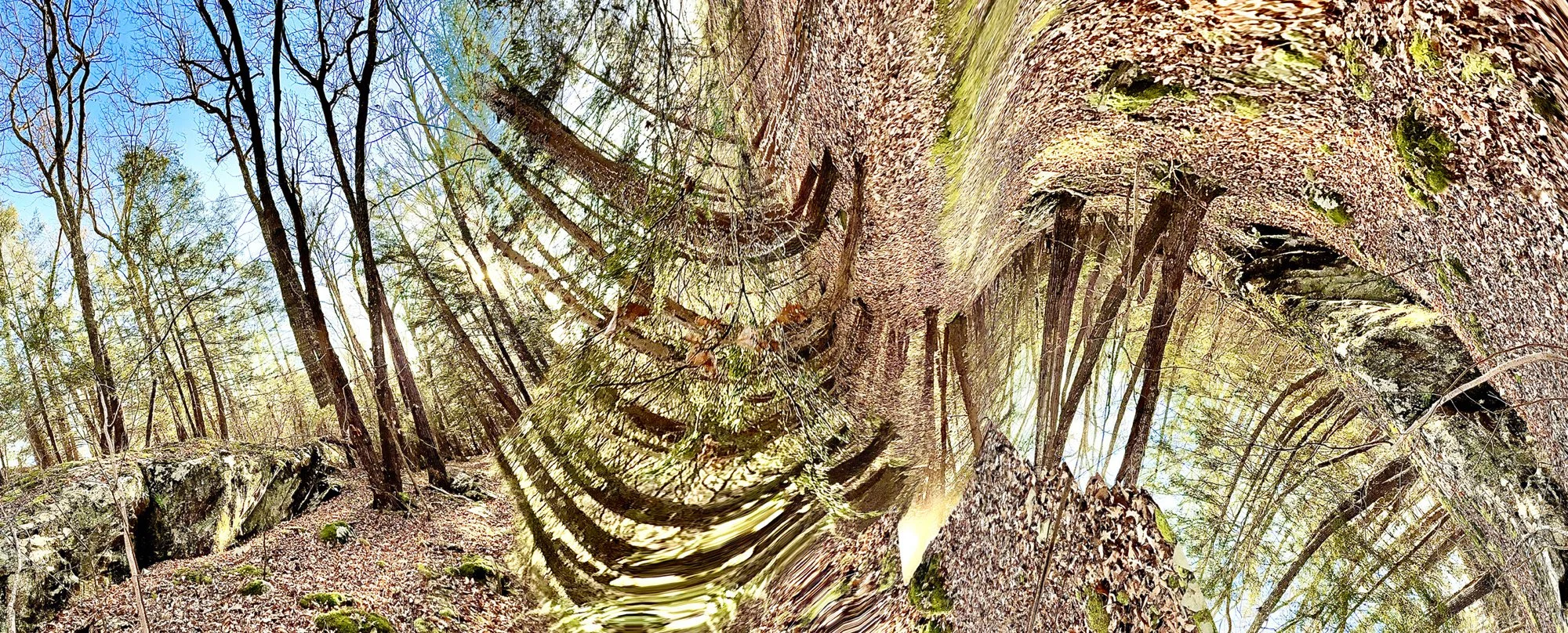 Edward_Bakst_Non-Linear_Pano-Natures_Rapture.jpg