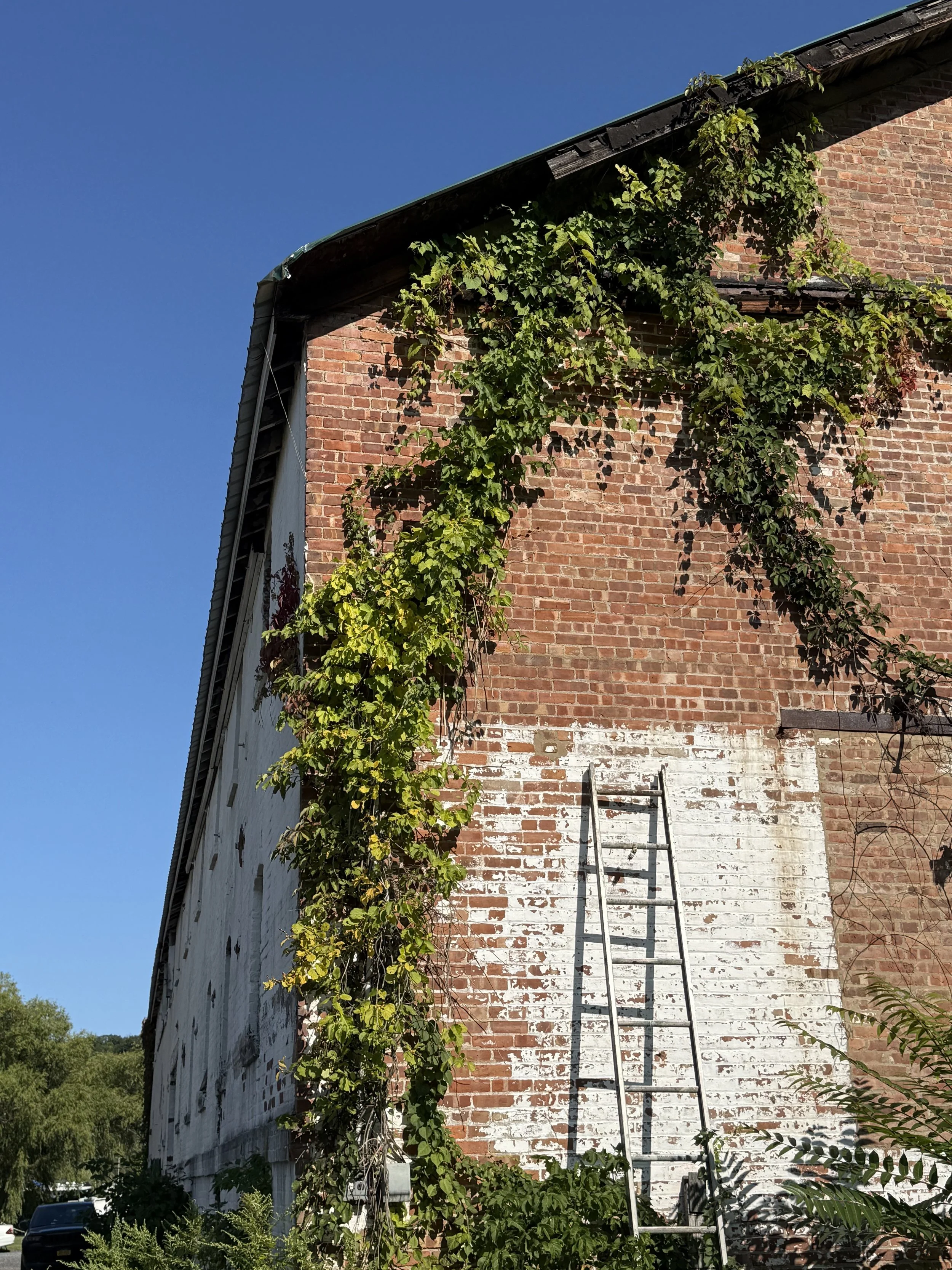 How an Empty Building Becomes an Exhibition