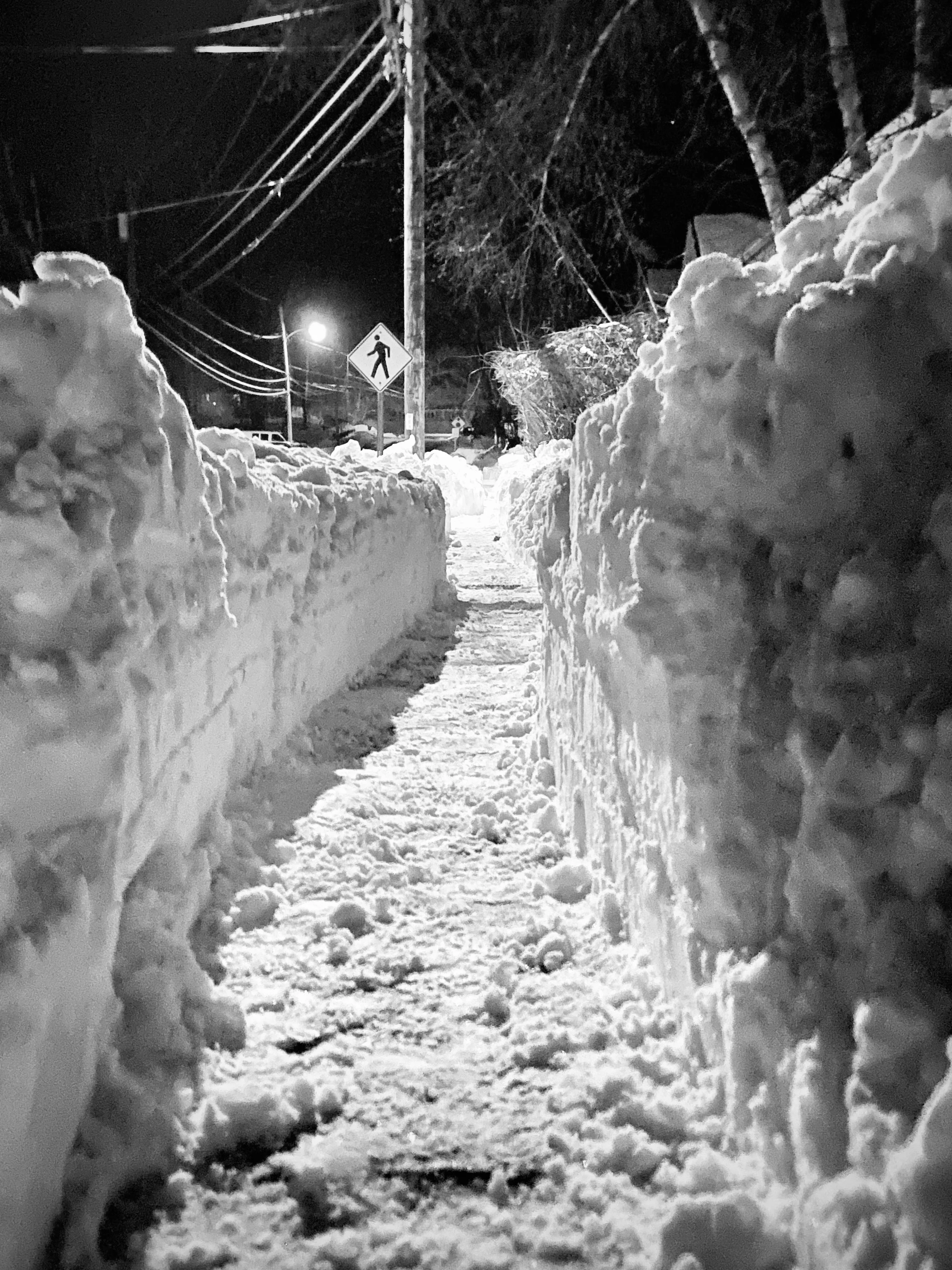 D A Hamlin Pedestrian for Of Frame and Fallow.jpeg