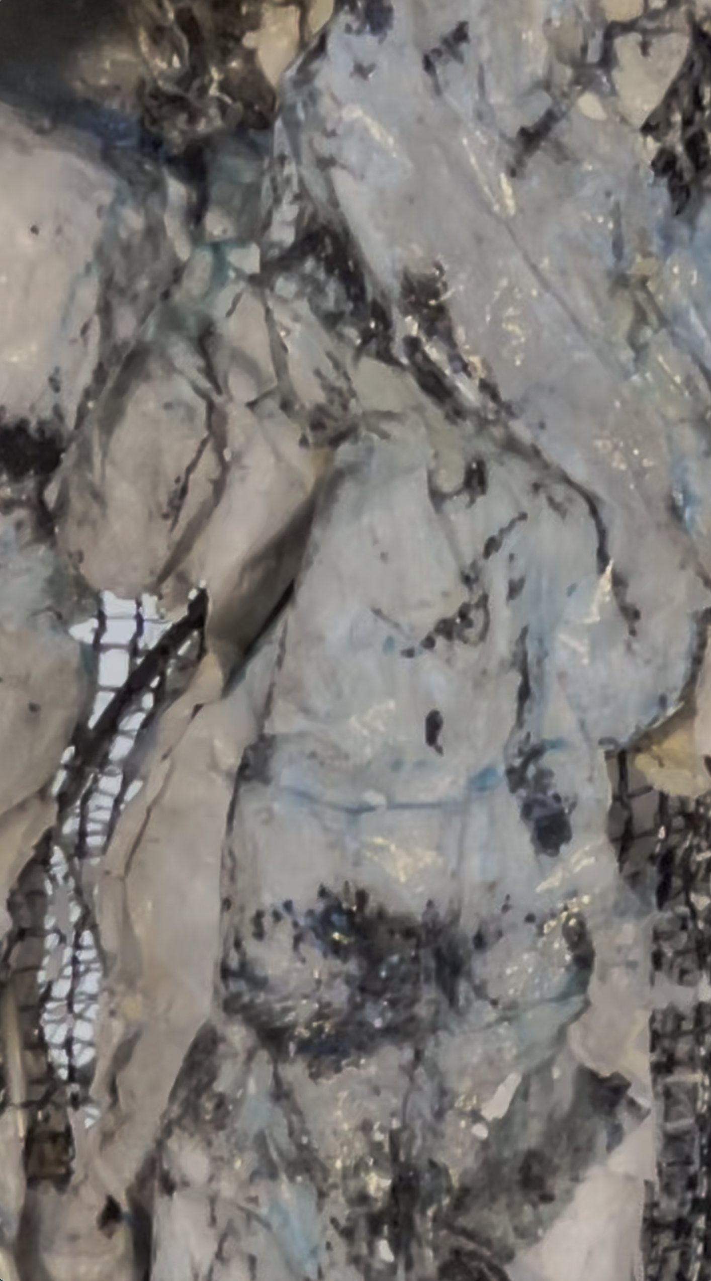 Sharon Ascher AKA Sascha Glacier for Of Frame and Fallow.png