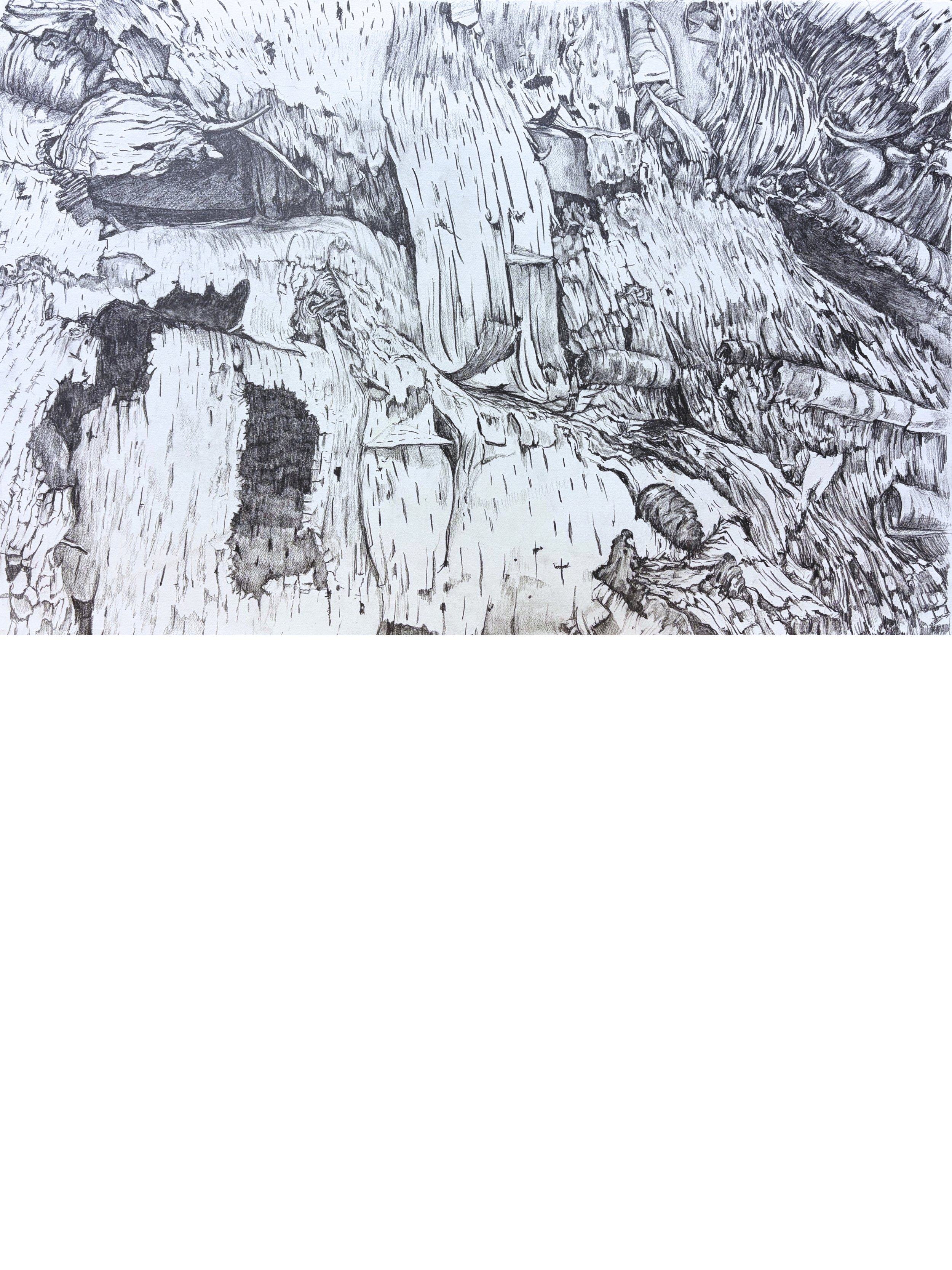 Mary Creede Of Grit and Grid Site Seen.jpg