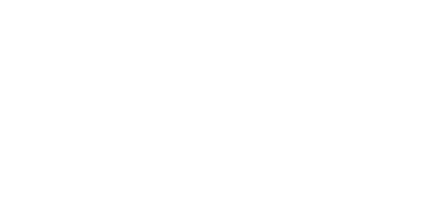 THE JENKII