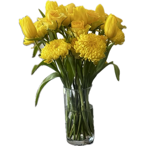 7DE7A542-56E9-4A70-BFE5-AFB2D1CC4F07 (1).png